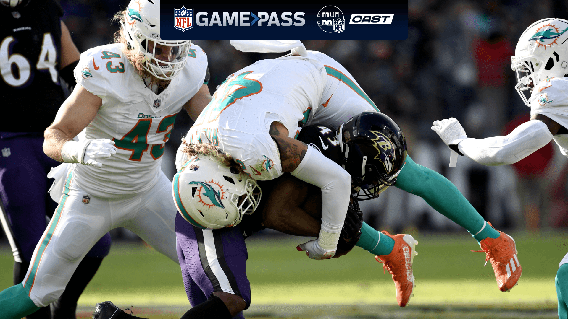 Watch dolphins game on sale live