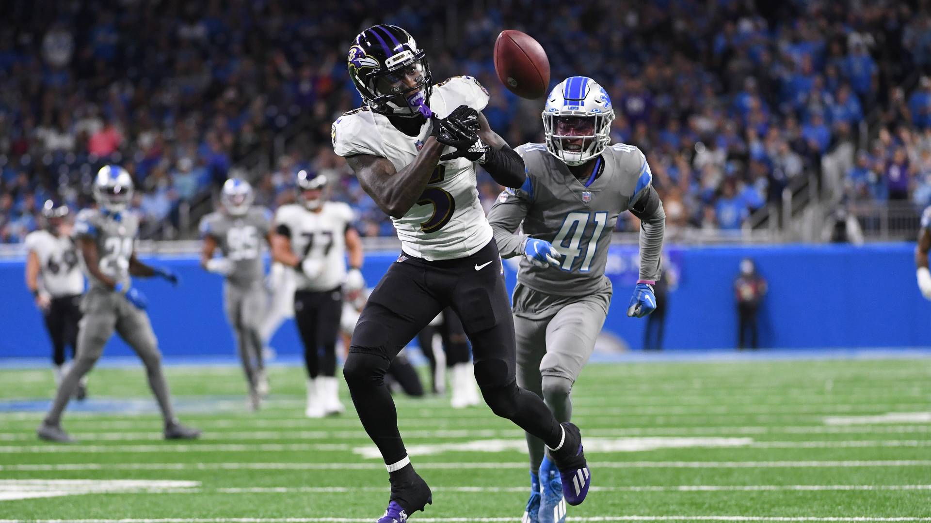 Watch Ravens Lions Live Stream DAZN CA