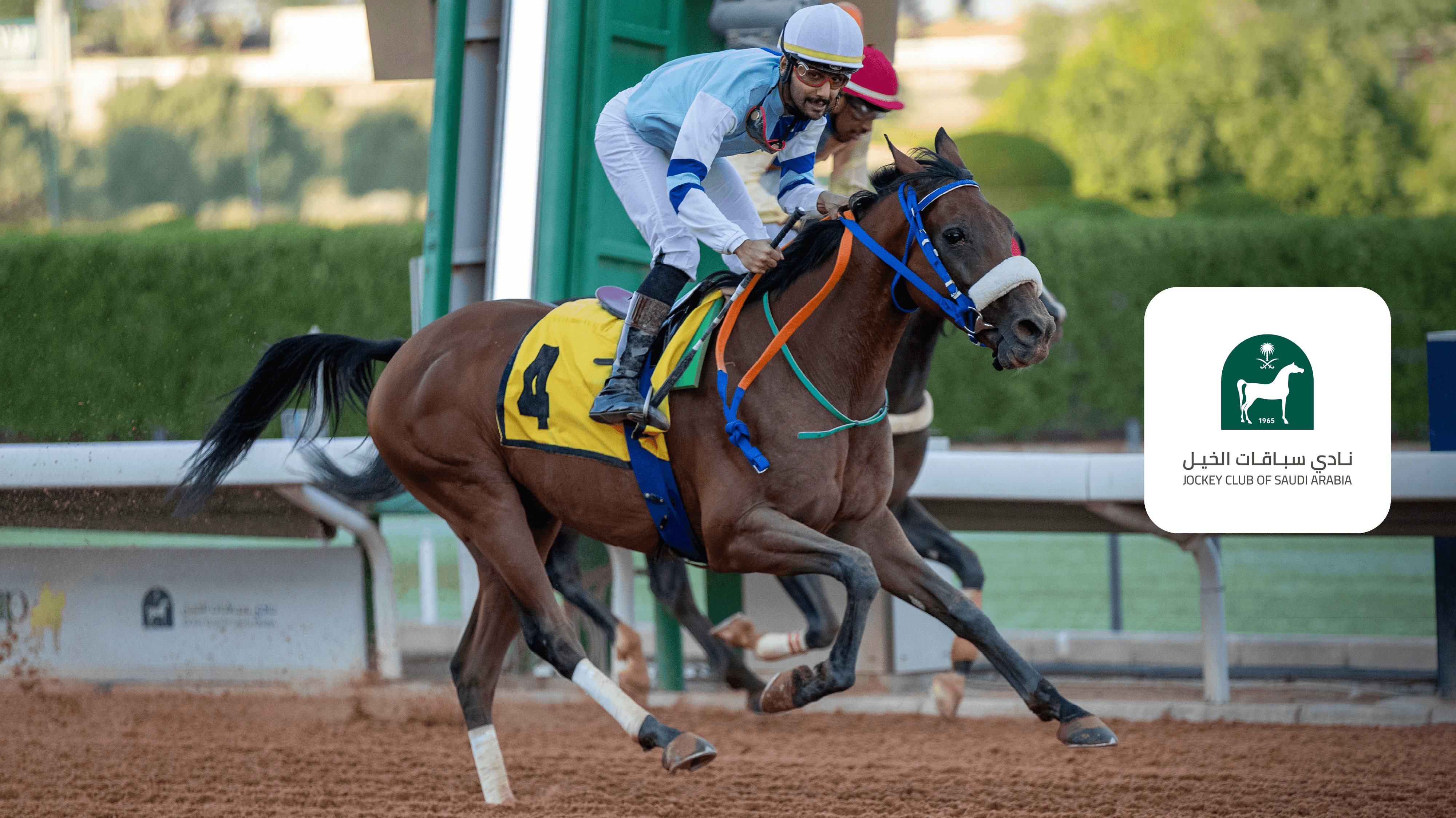 Watch Saud Bin Salman Cup for Fillies & Colts (Arabic) Live Stream ...