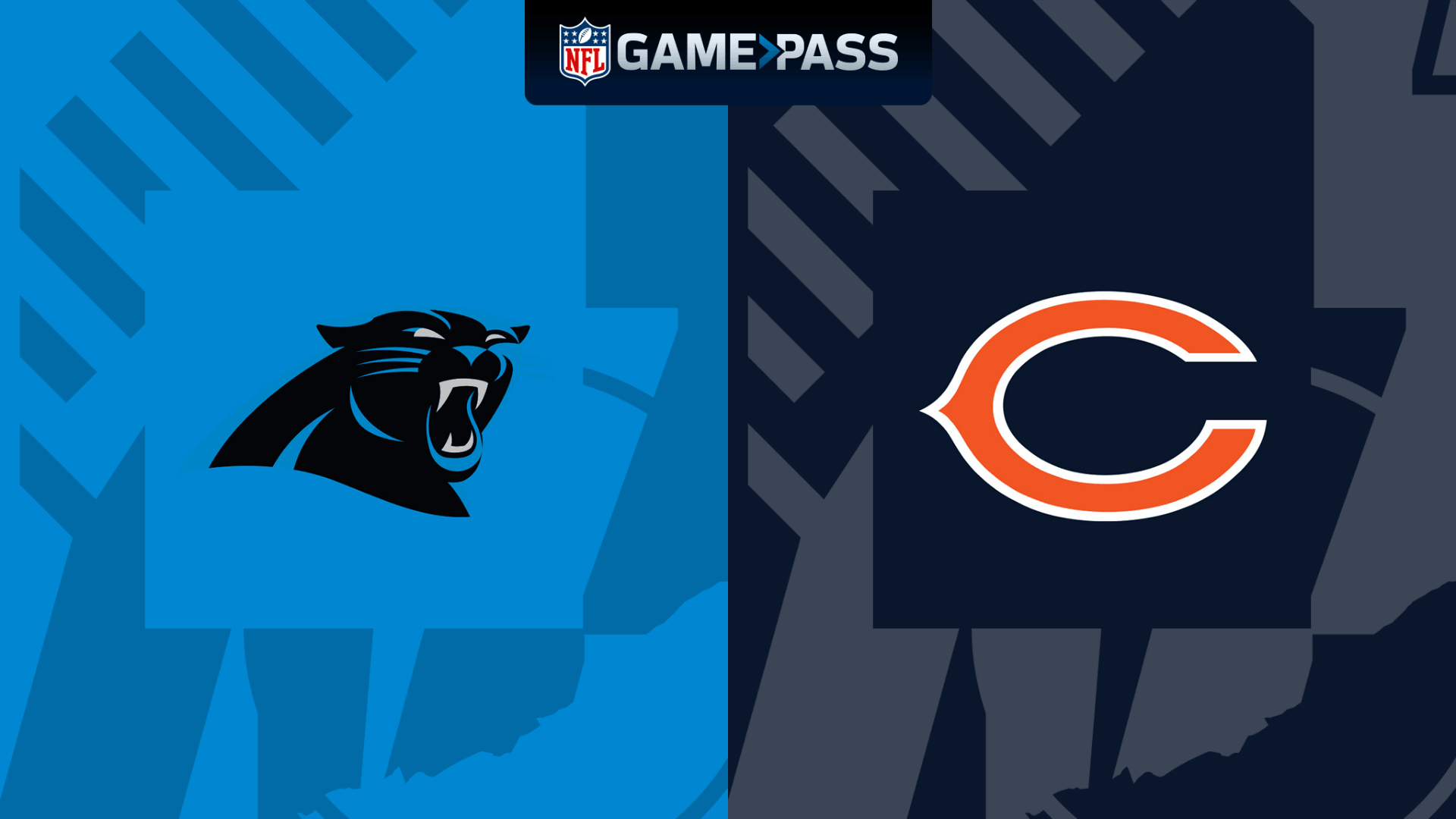 Panthers Bears を配信 DAZN JP