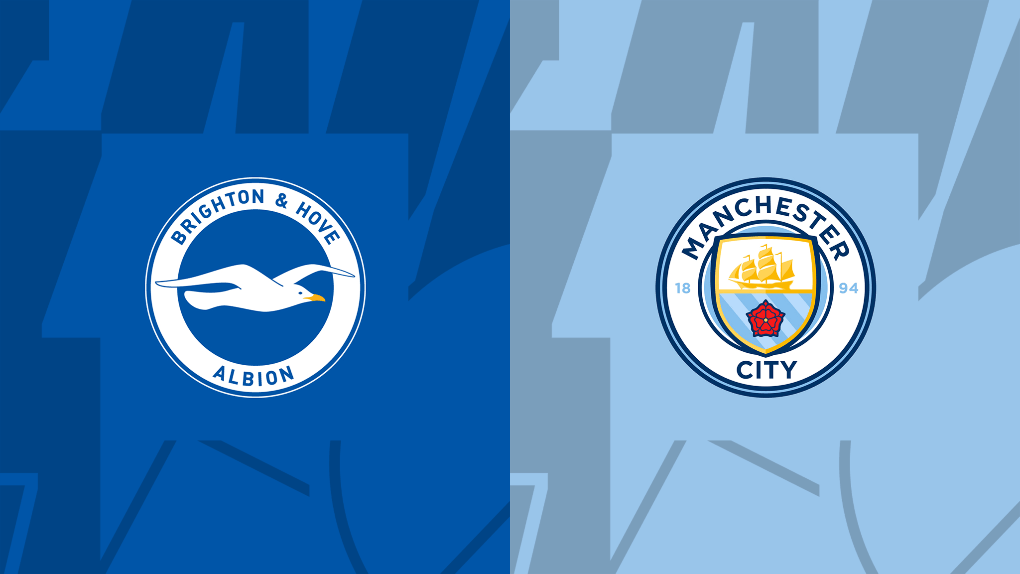 Brighton vs. manchester city