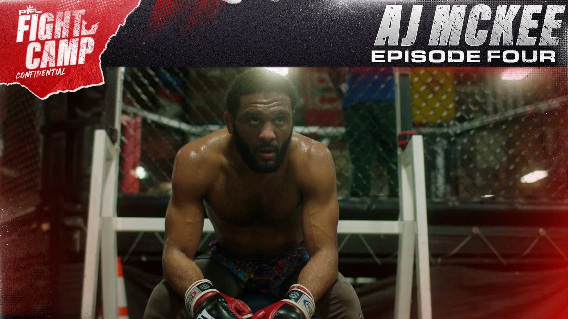 Aj fight live stream free outlet