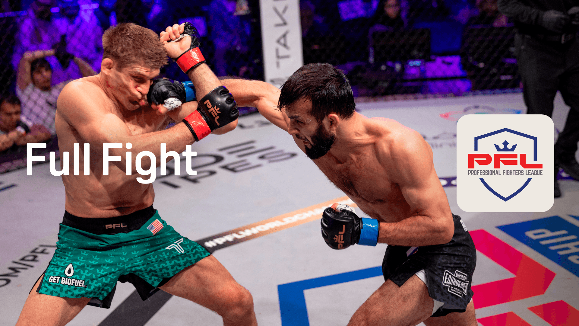 Regarder PFL 2024 World Championship Primus vs. Rabadanov Online