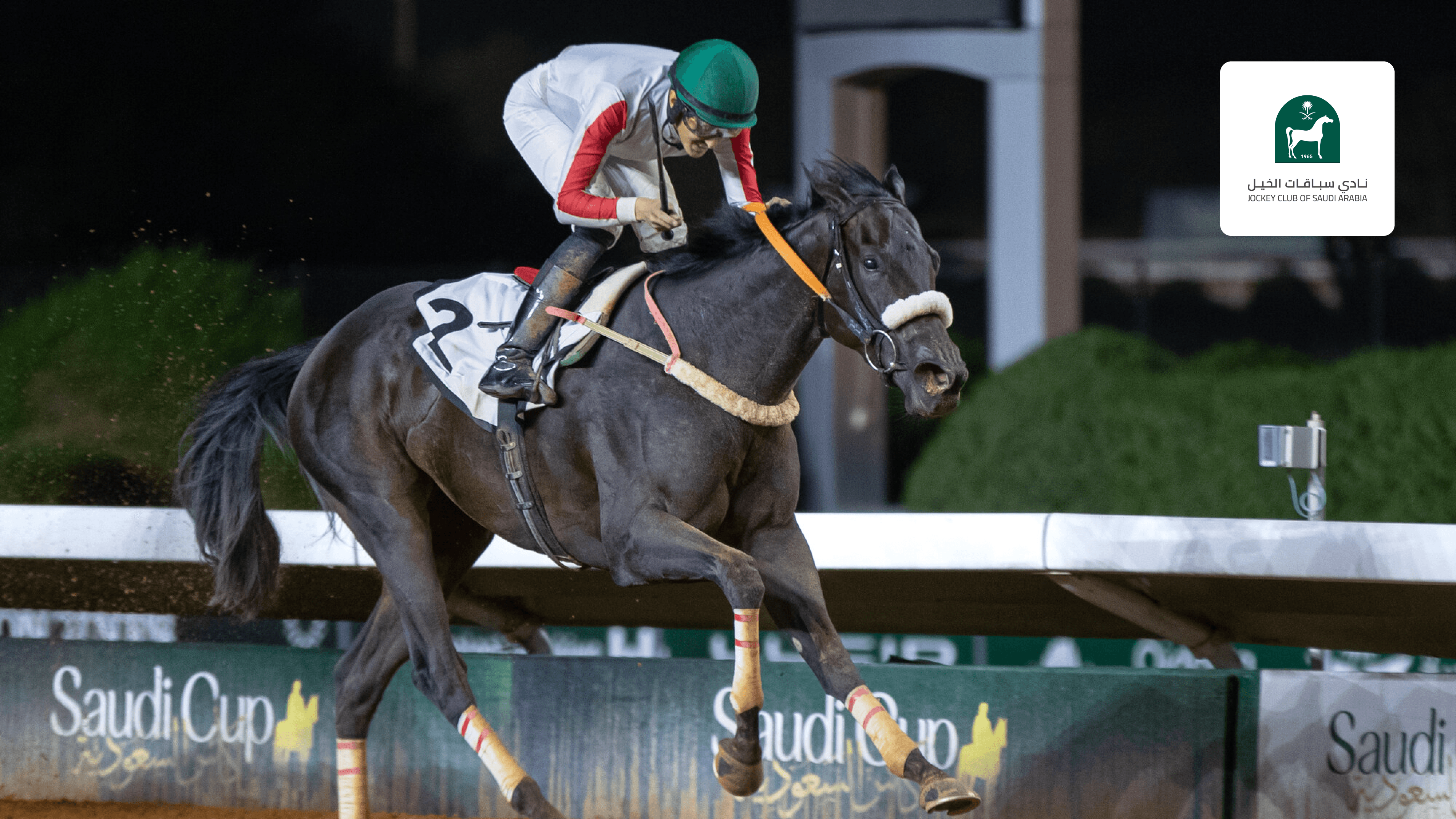 Watch Prep for Prince Mohammed Bin Saud Alkabeer Cup Live Stream Online ...