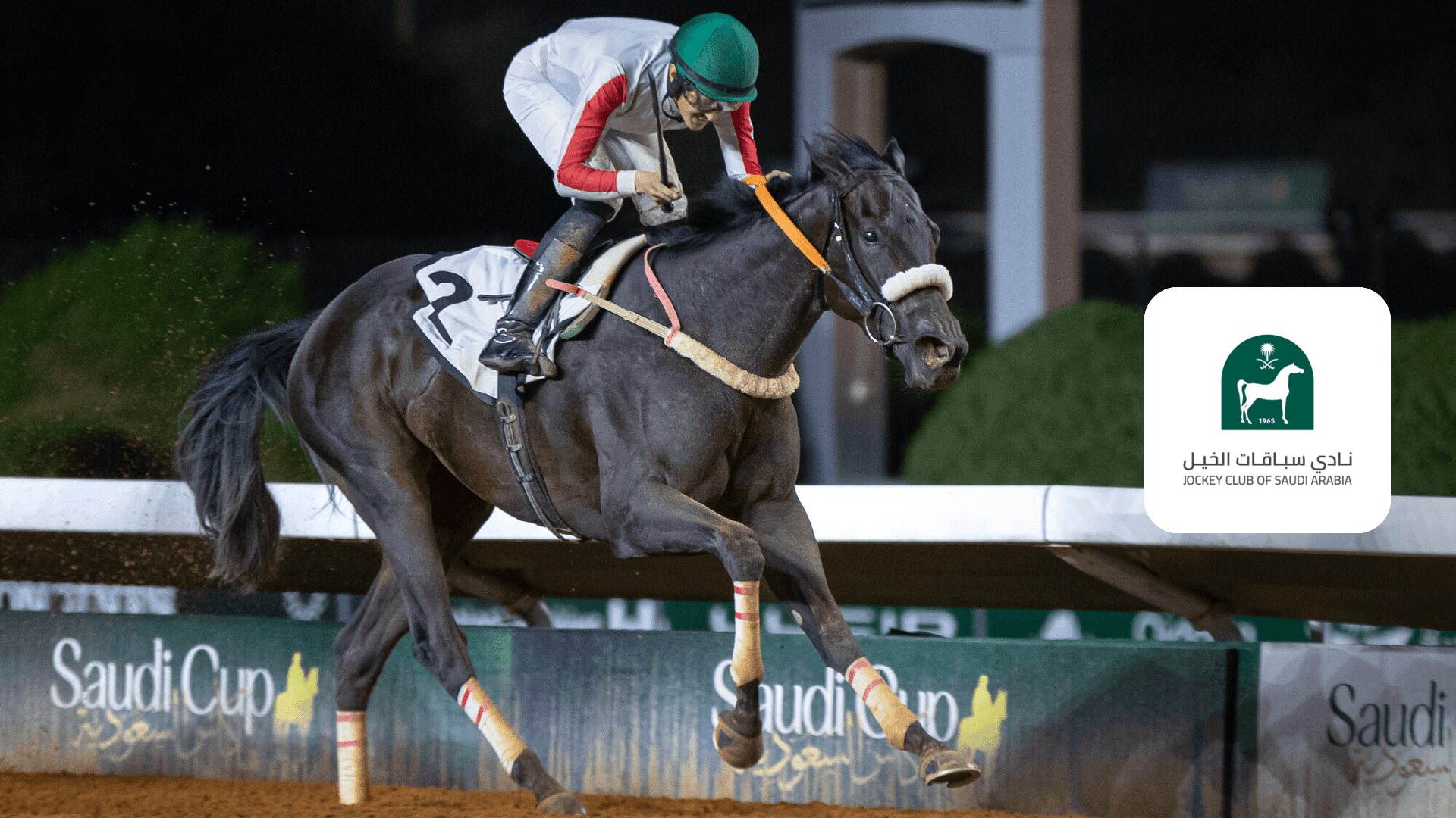 Watch Prep for Prince Mohammed Bin Saud Alkabeer Cup Live Stream Online ...