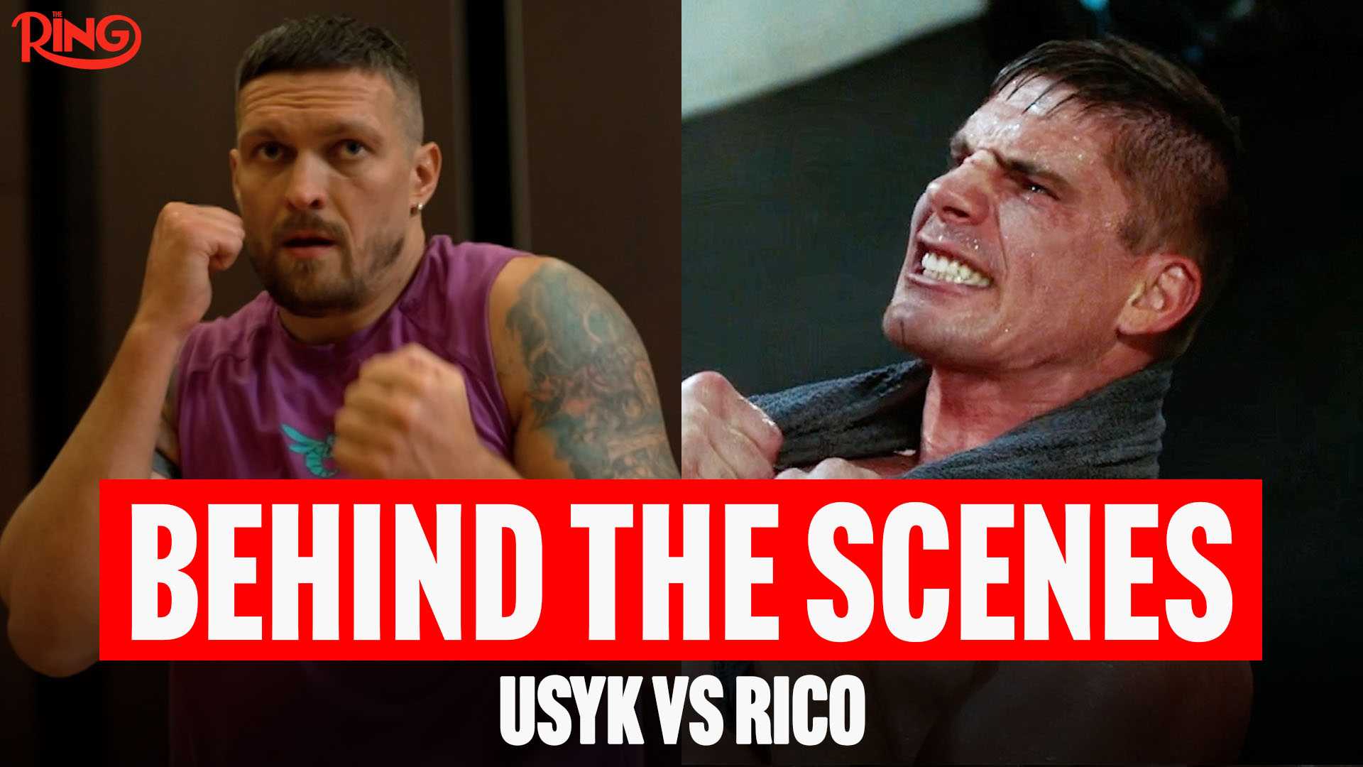 Watch Usyk vs. Rico: Behind the Scenes at Training Camp Live Stream ...