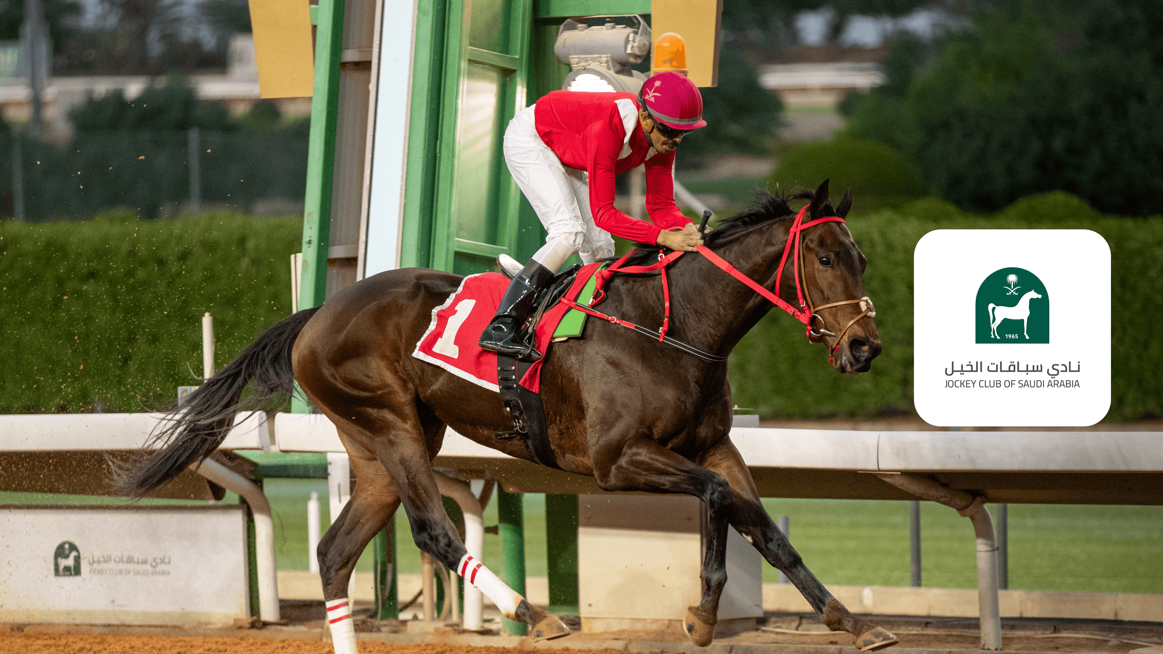 Watch UAE President Cup Live Stream Online | DAZN FR
