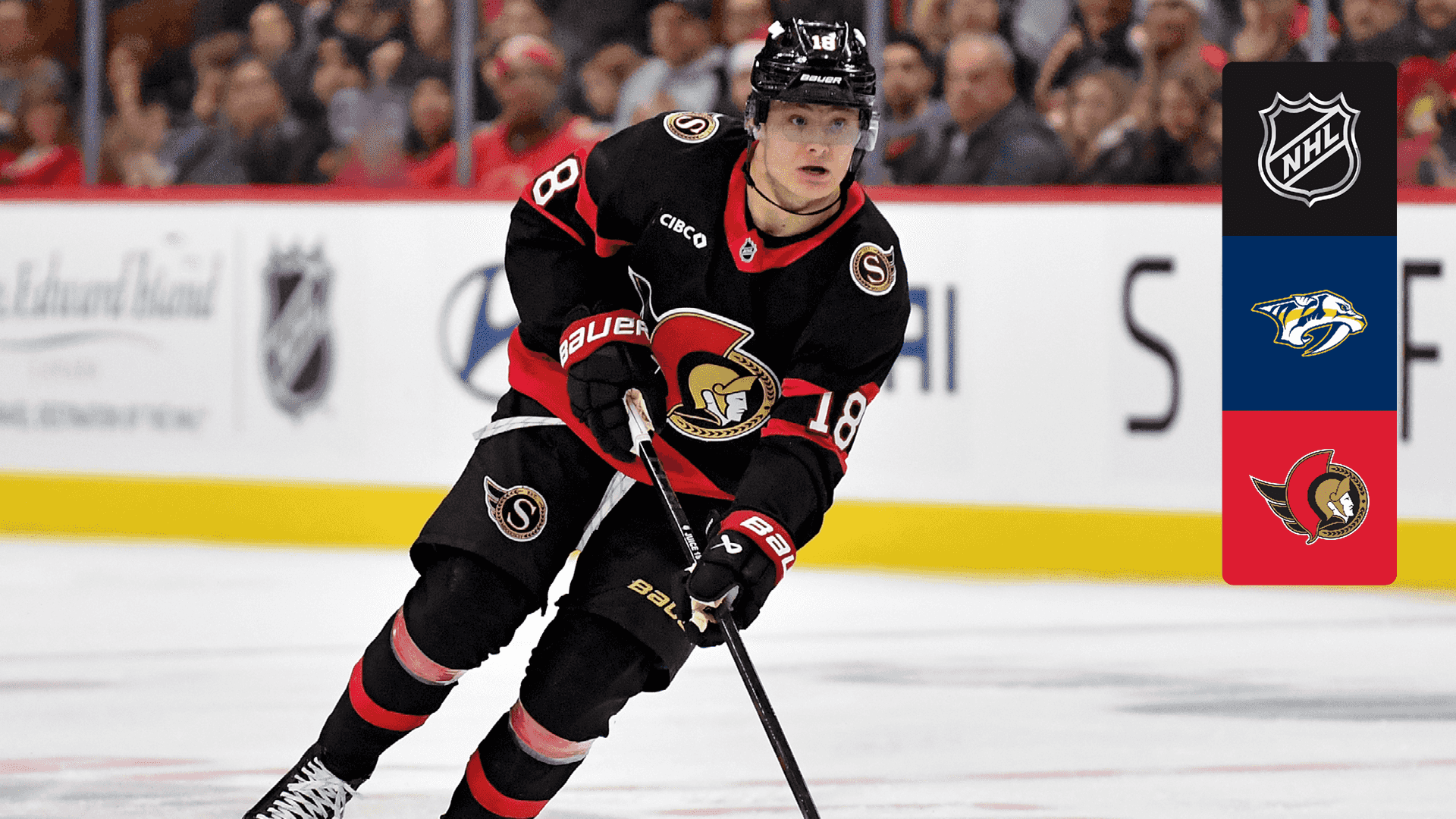 Watch Predators @ Senators Live Stream Online | DAZN AO