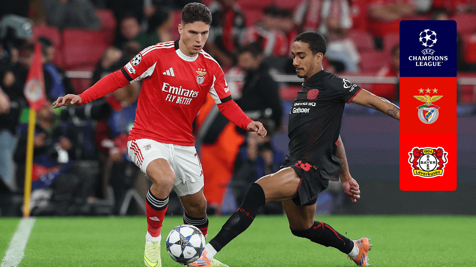 Vê SL Benfica x Leverkusen em Direto Online | DAZN PT
