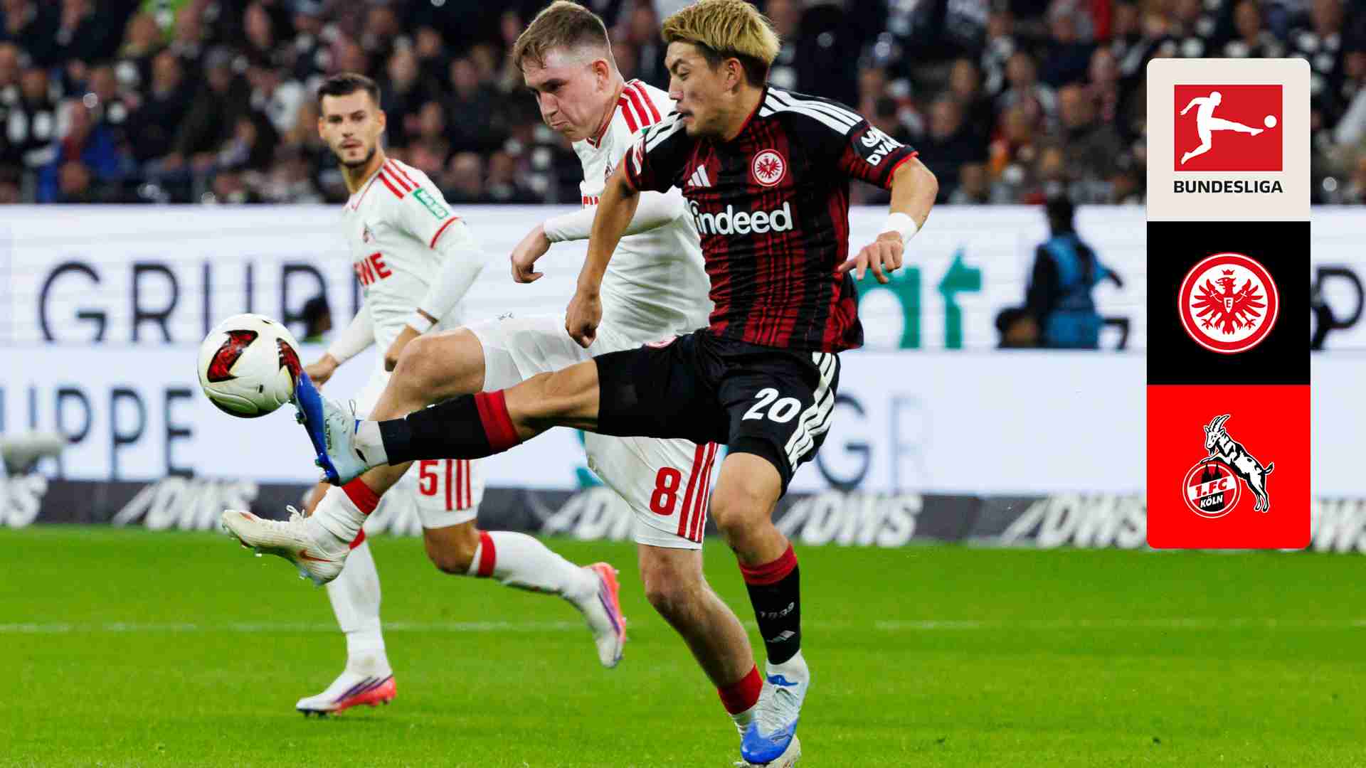 Watch Eintracht Frankfurt v Köln Live Stream Online | DAZN JP