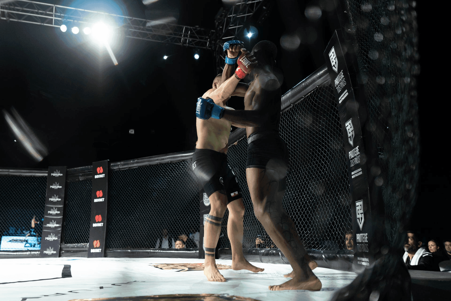 Live stream dazn sale