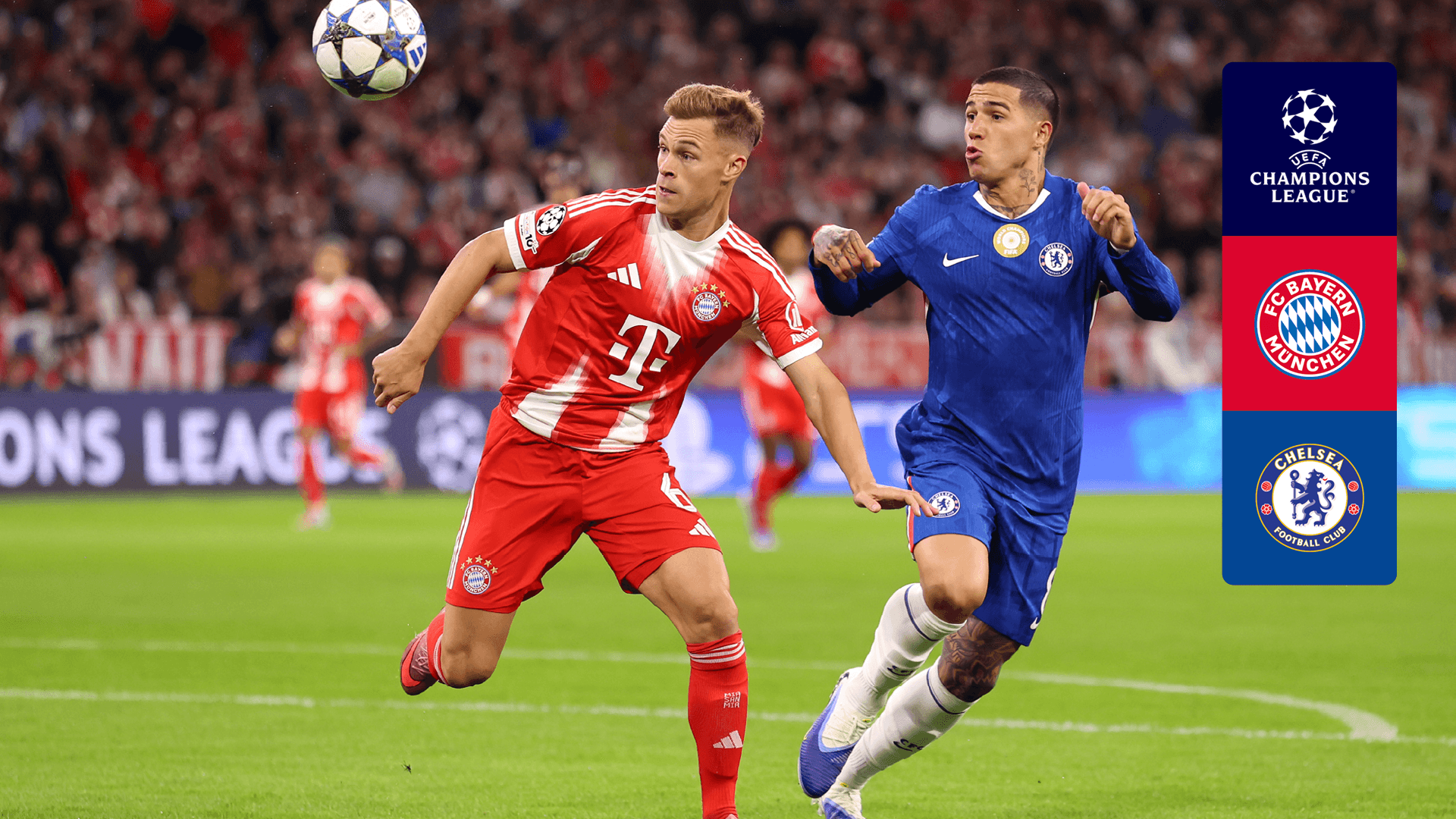 Vê Bayern x Chelsea em Direto Online | DAZN PT