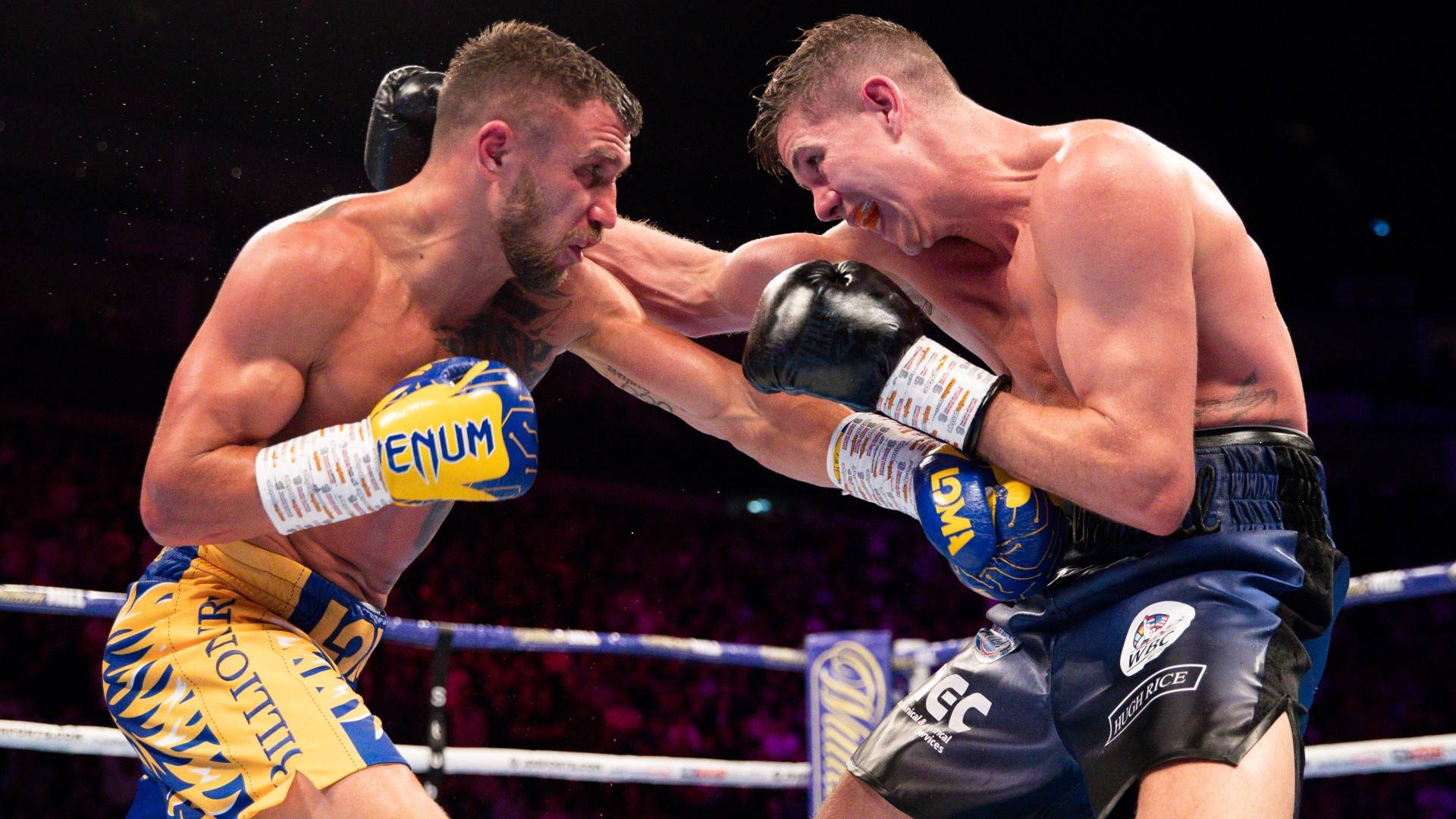 Lomachenko campbell free stream clearance