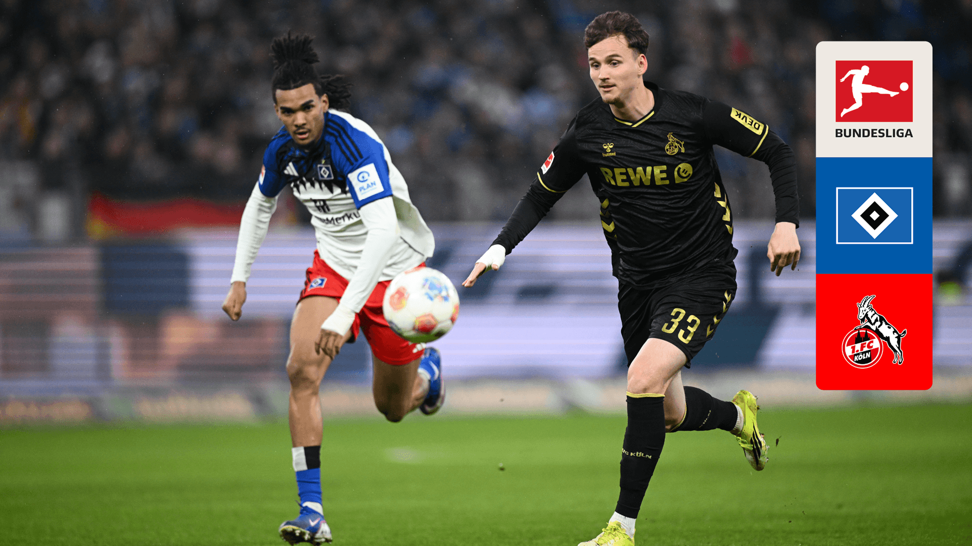 Watch Hamburger SV - 1. FC Köln Live Stream Online | DAZN DE