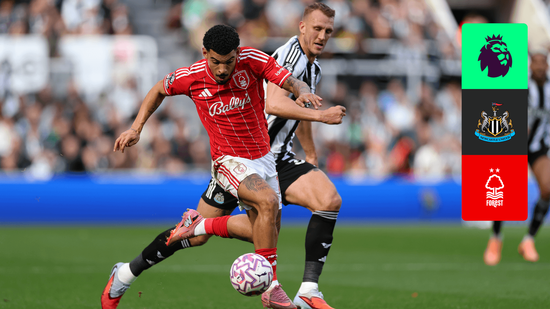Watch Newcastle x Nott'm Forest Live Stream Online | DAZN PT