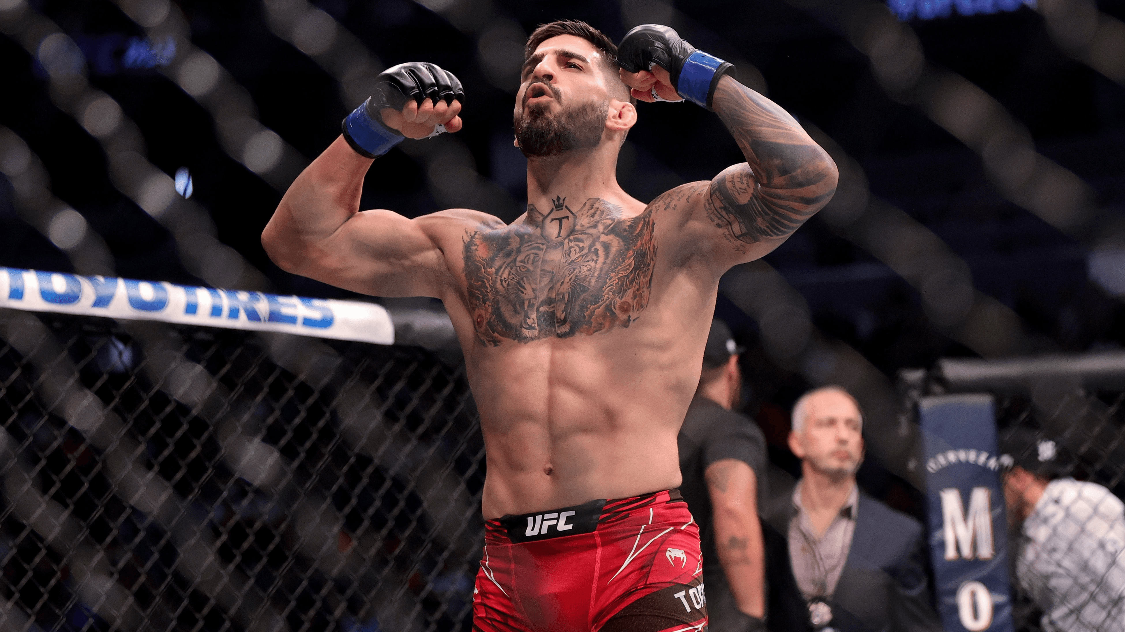 Ufc putlocker store