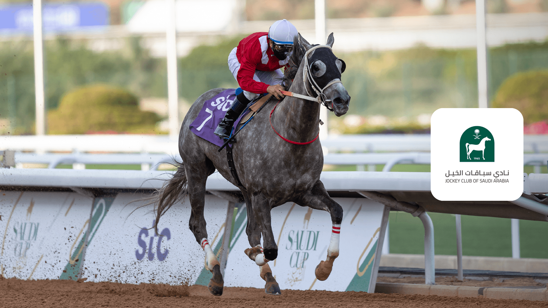 Watch JCSA Board of Directors Cup Race Night Live Stream Online DAZN GS