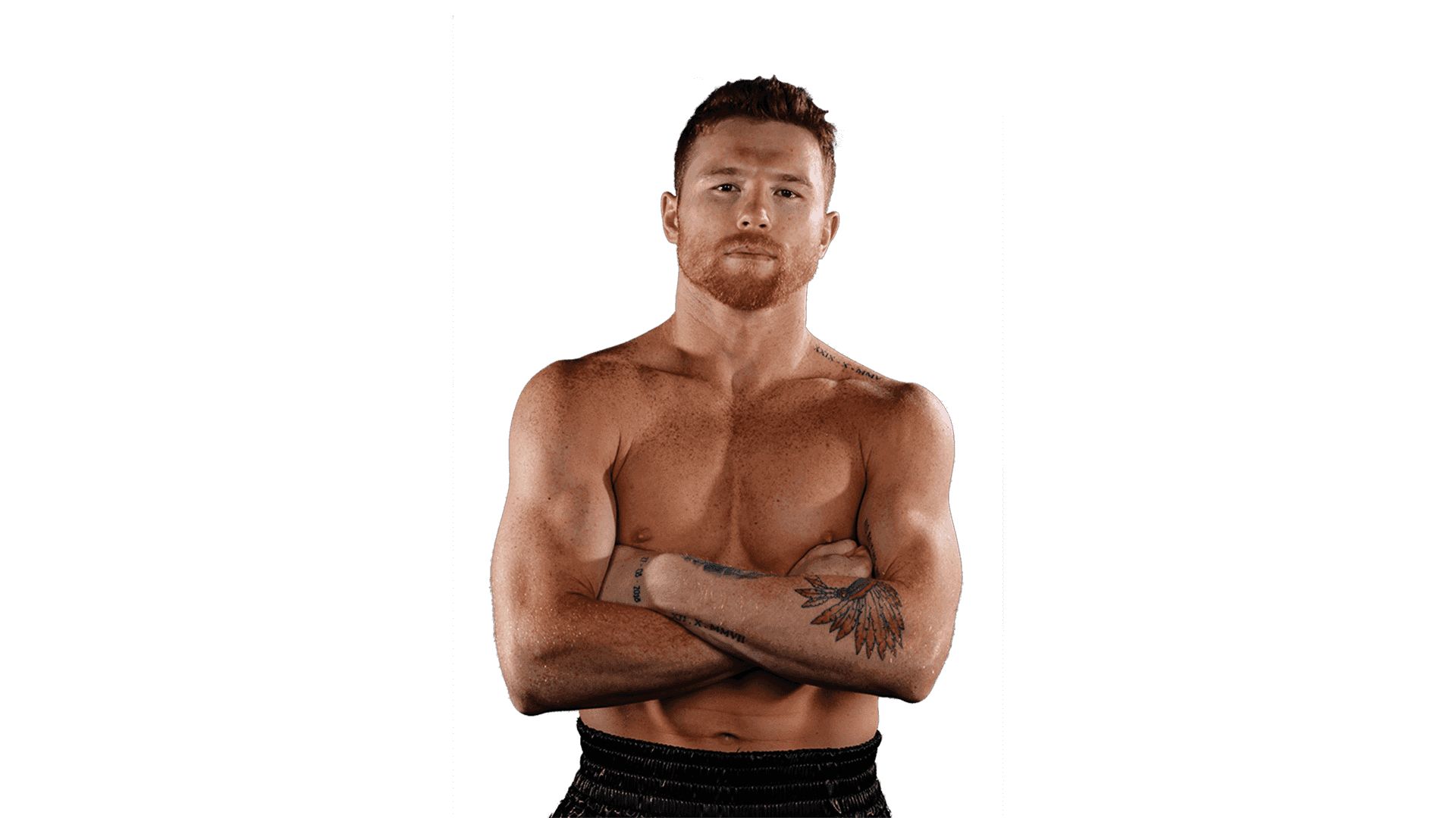 Watch Canelo Alvarez Live Stream Online | DAZN IO