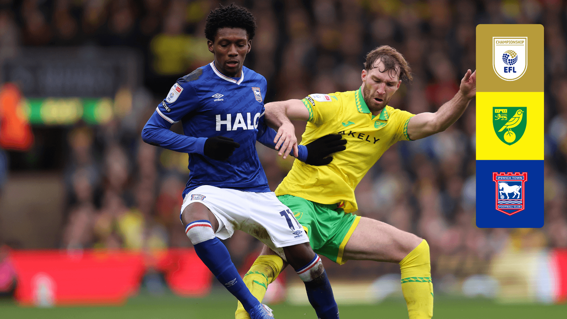 Watch Norwich vs. Ipswich Live Stream Online | DAZN CA