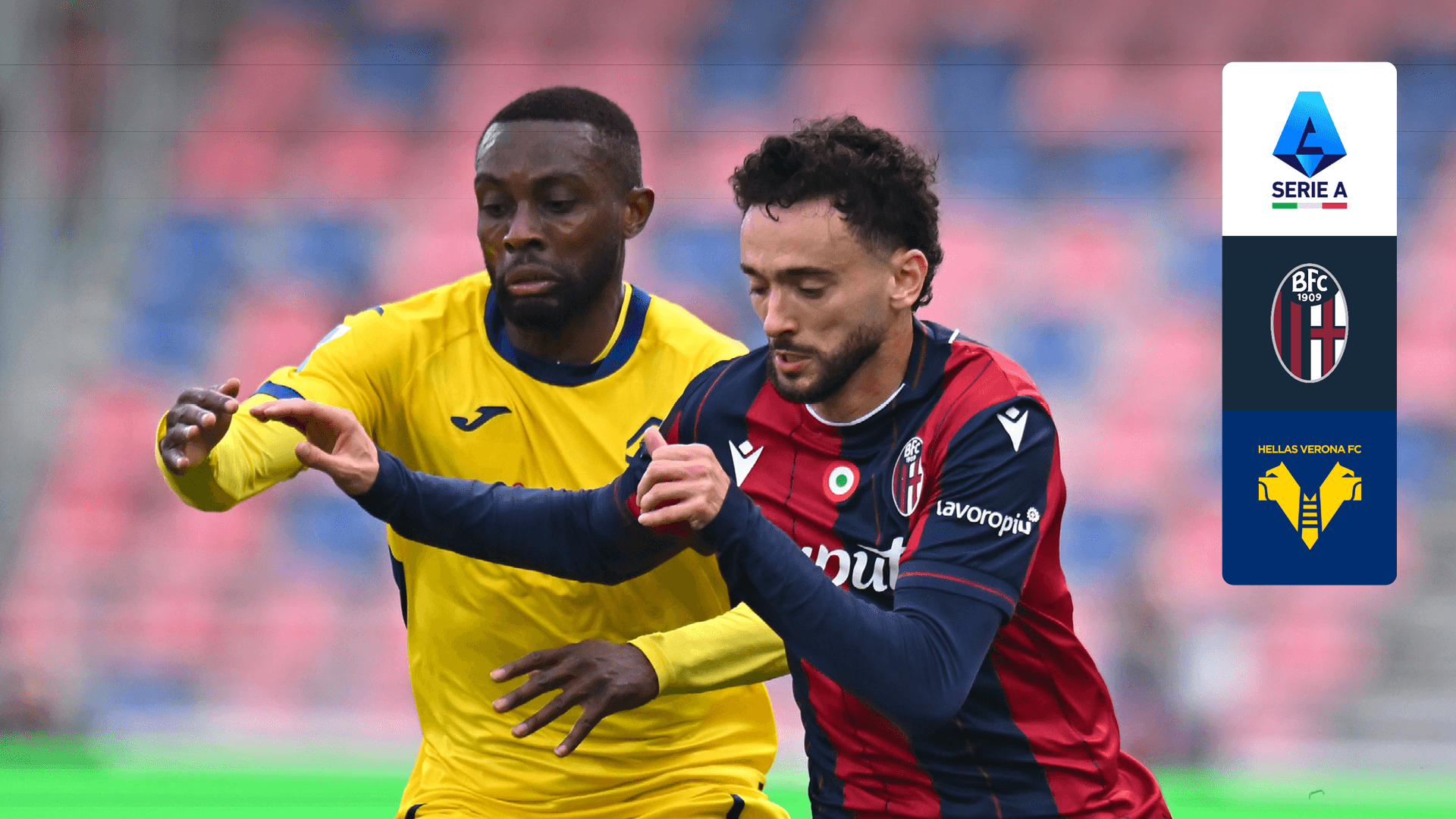 Watch Bologna vs. Hellas Verona Live Stream Online | DAZN PM