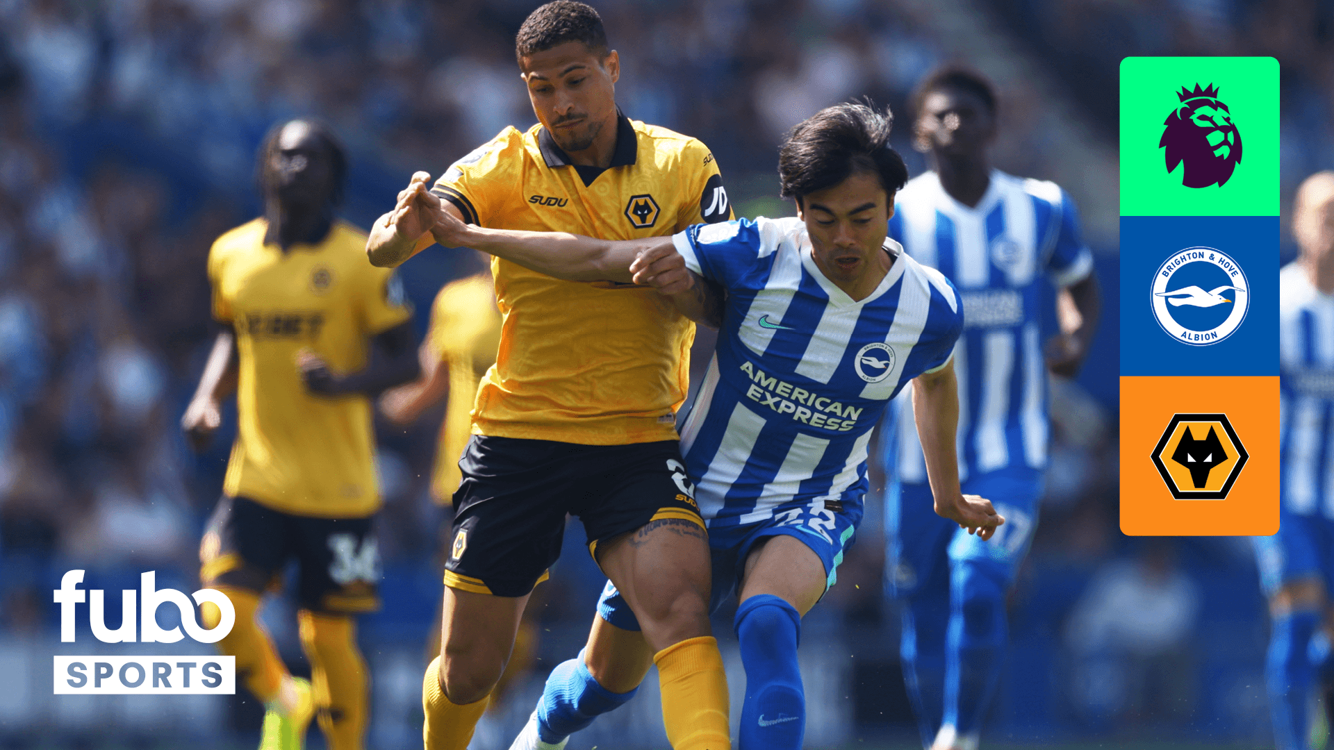 Watch Brighton vs. Wolves Live Stream Online | DAZN CA