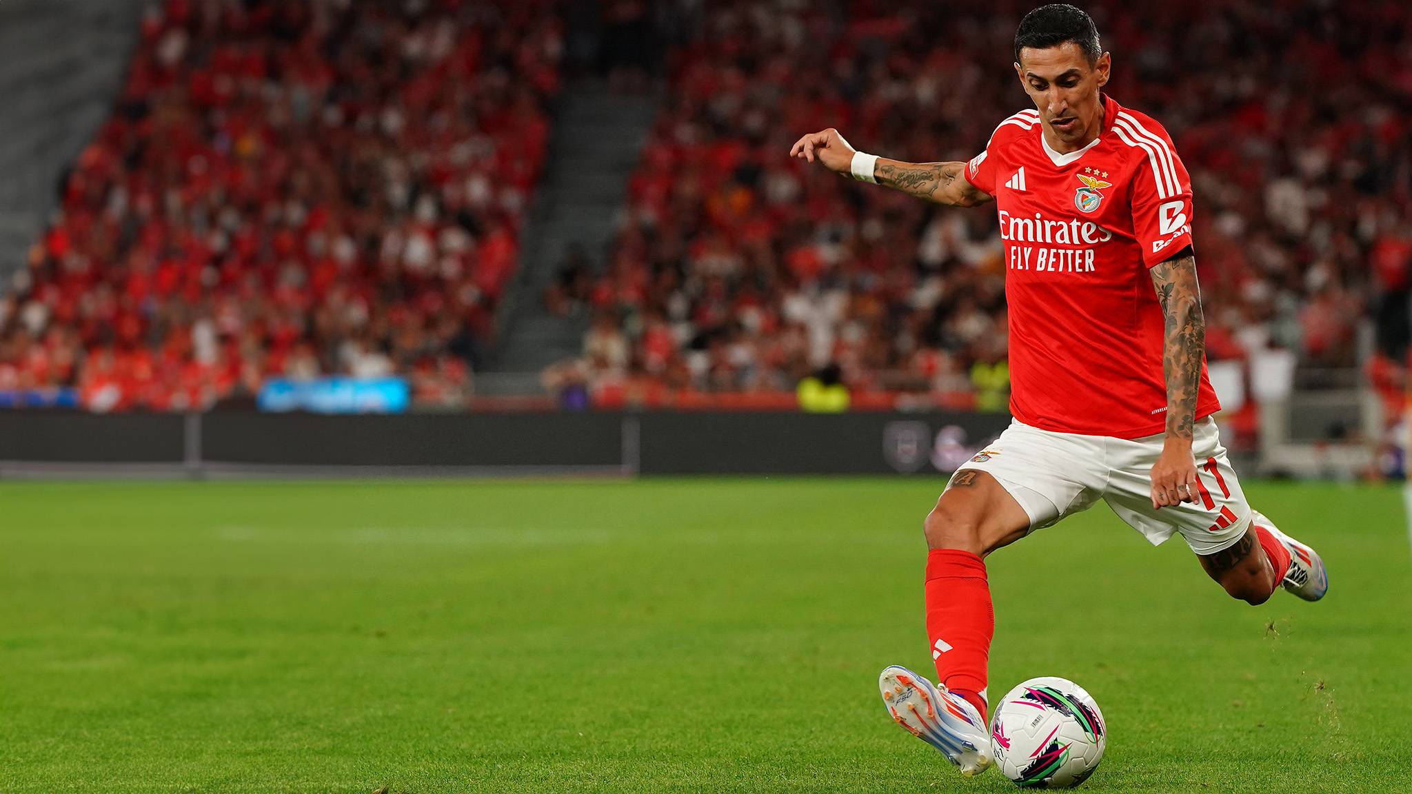Watch SL Benfica Live Stream DAZN PT
