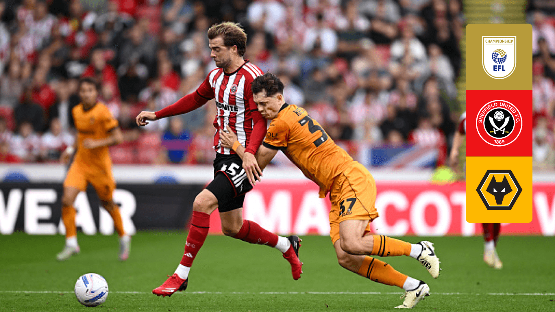 Regarder Sheffield United vs. Wolves en Direct Live | DAZN CA
