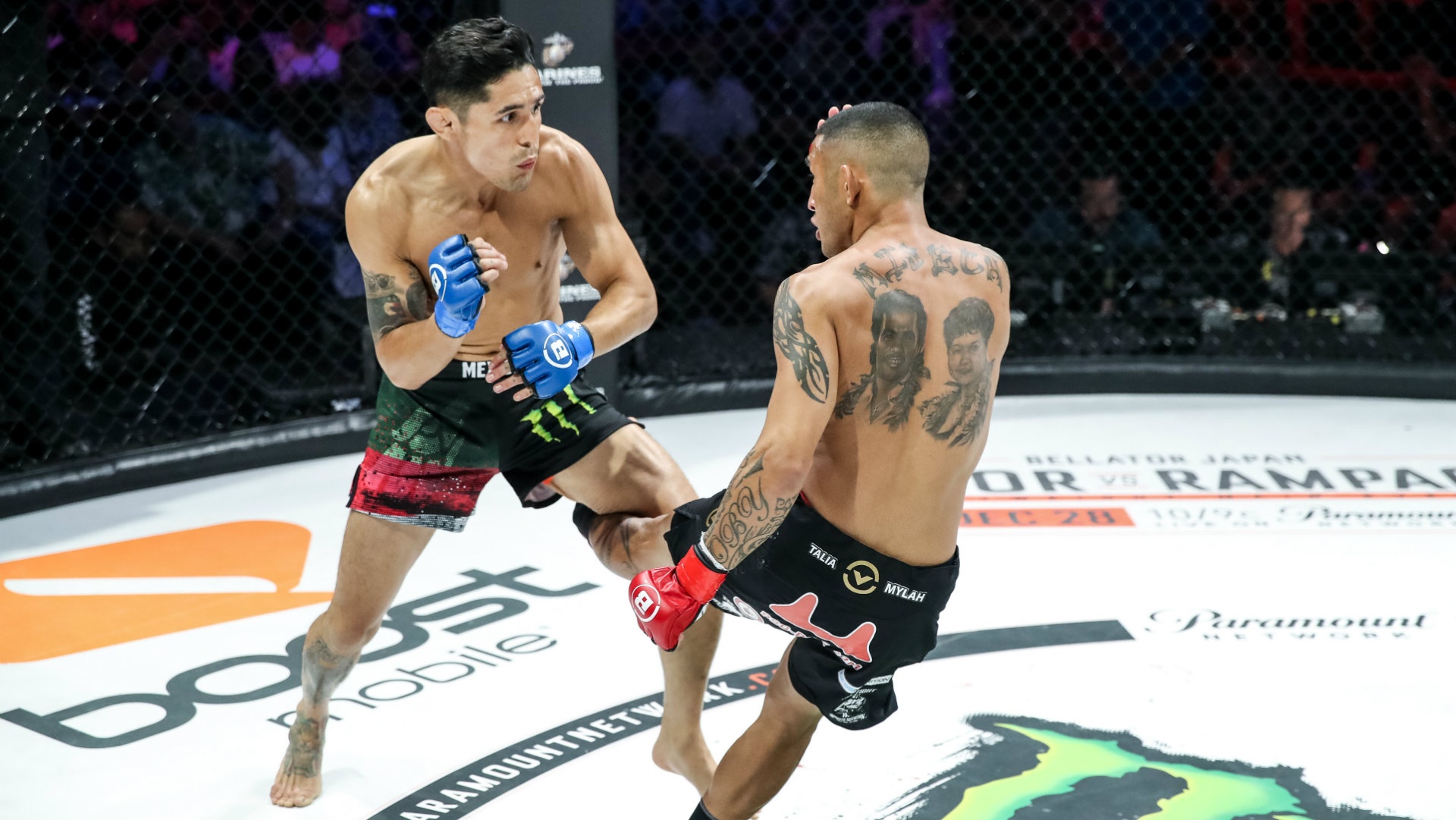 Regarder Bellator 235 : Misech vs. Perez Online | Mois ...