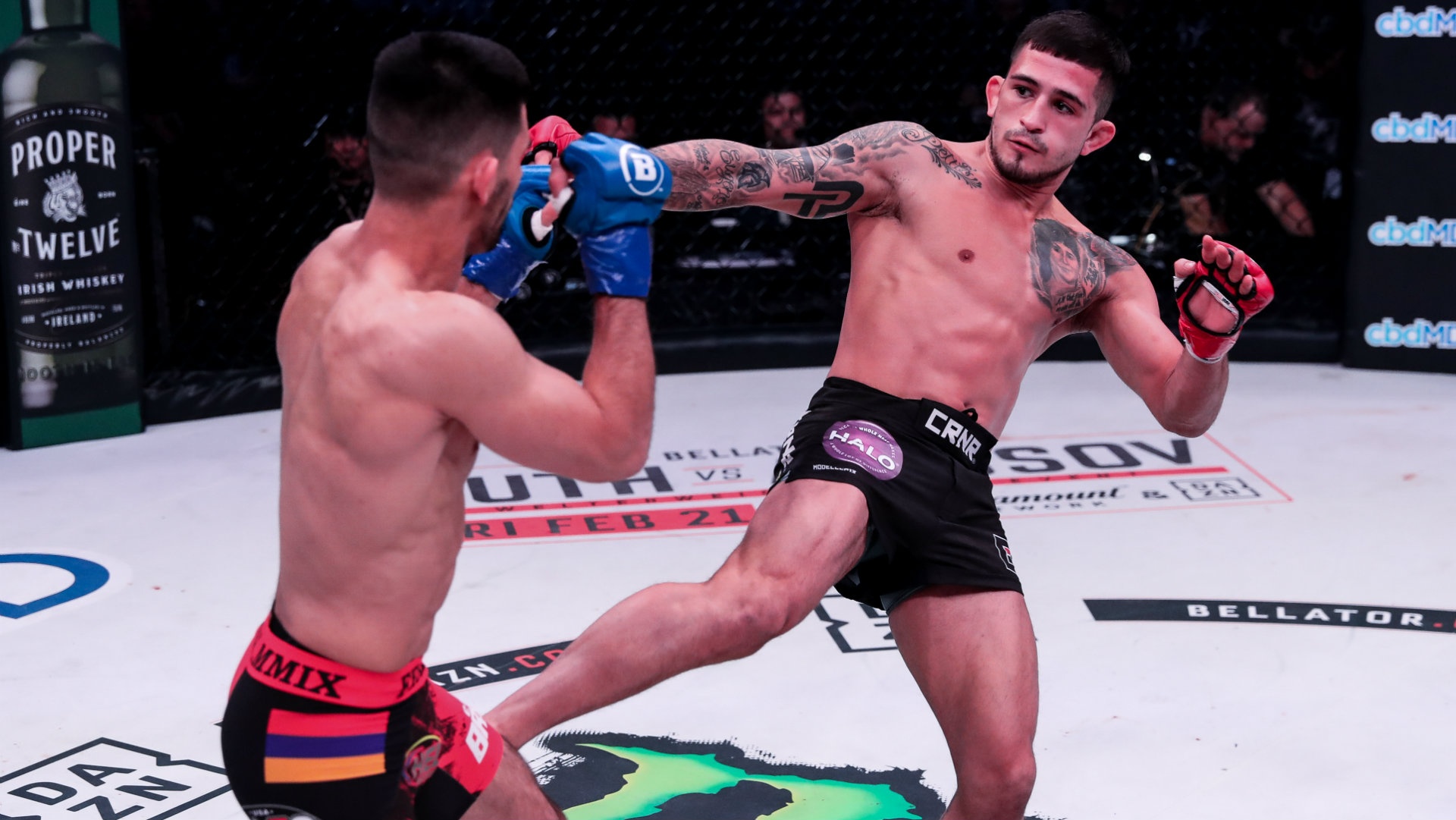 Regarder Bellator 238 : Pettis vs. Khashakyan Online ...