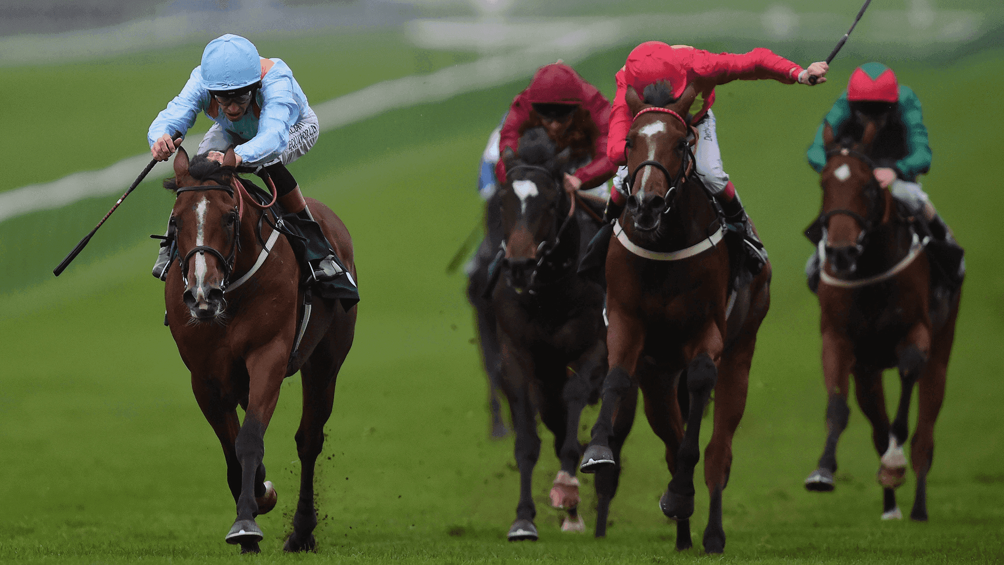 Watch Horse Racing Live Stream Online | DAZN NG