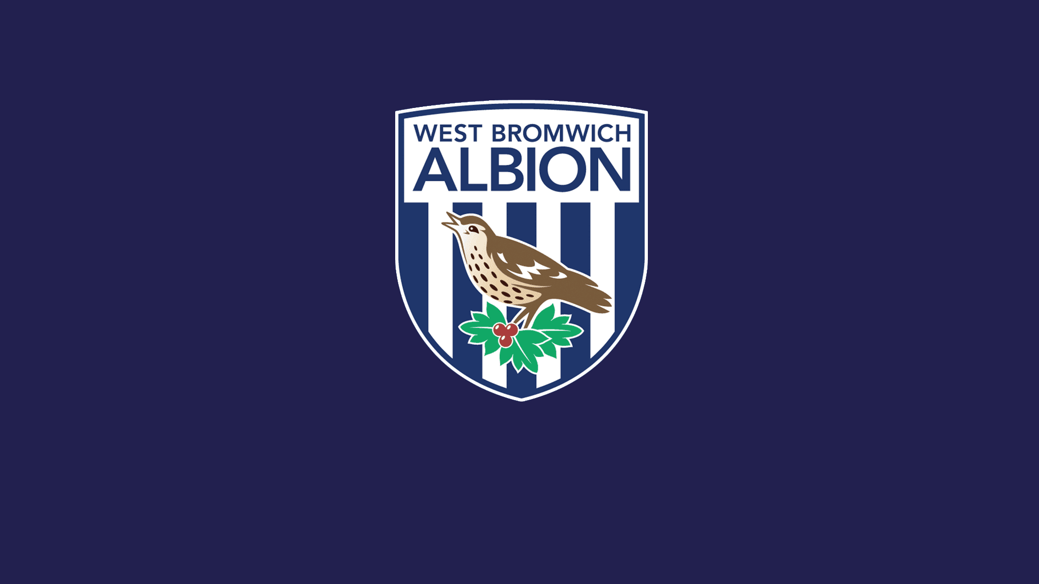 Watch West Bromwich Albion Live Stream