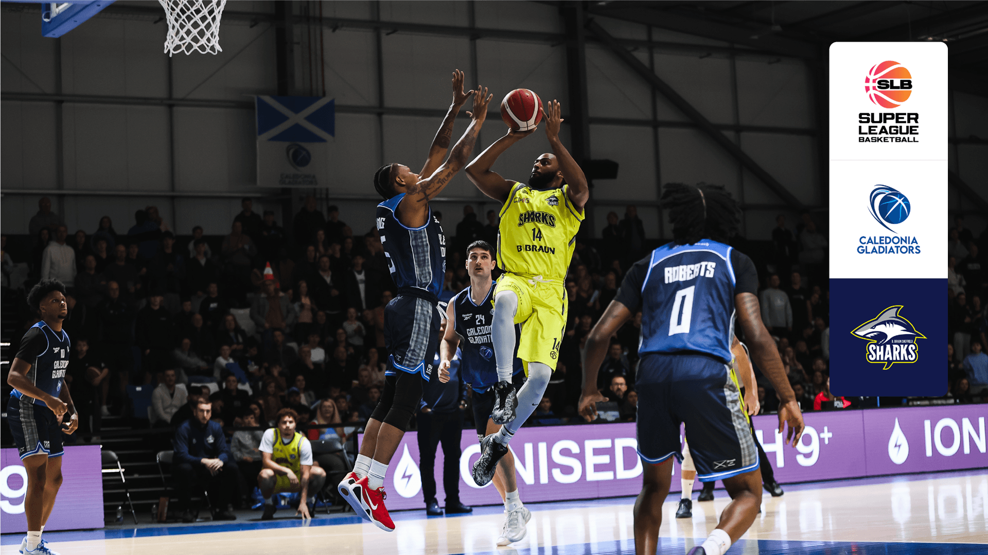 Watch Caledonia Gladiators vs. Sheffield Sharks Live Stream Online ...