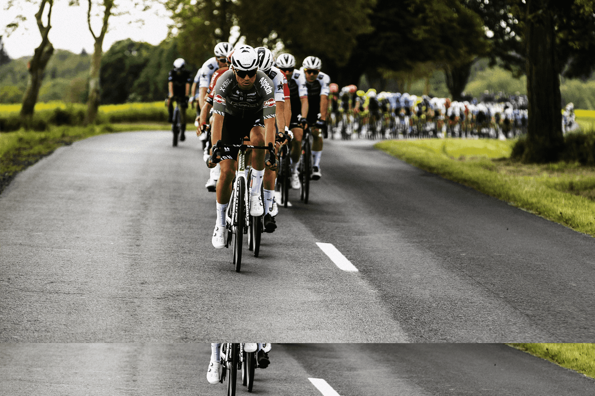 Cycling live stream top