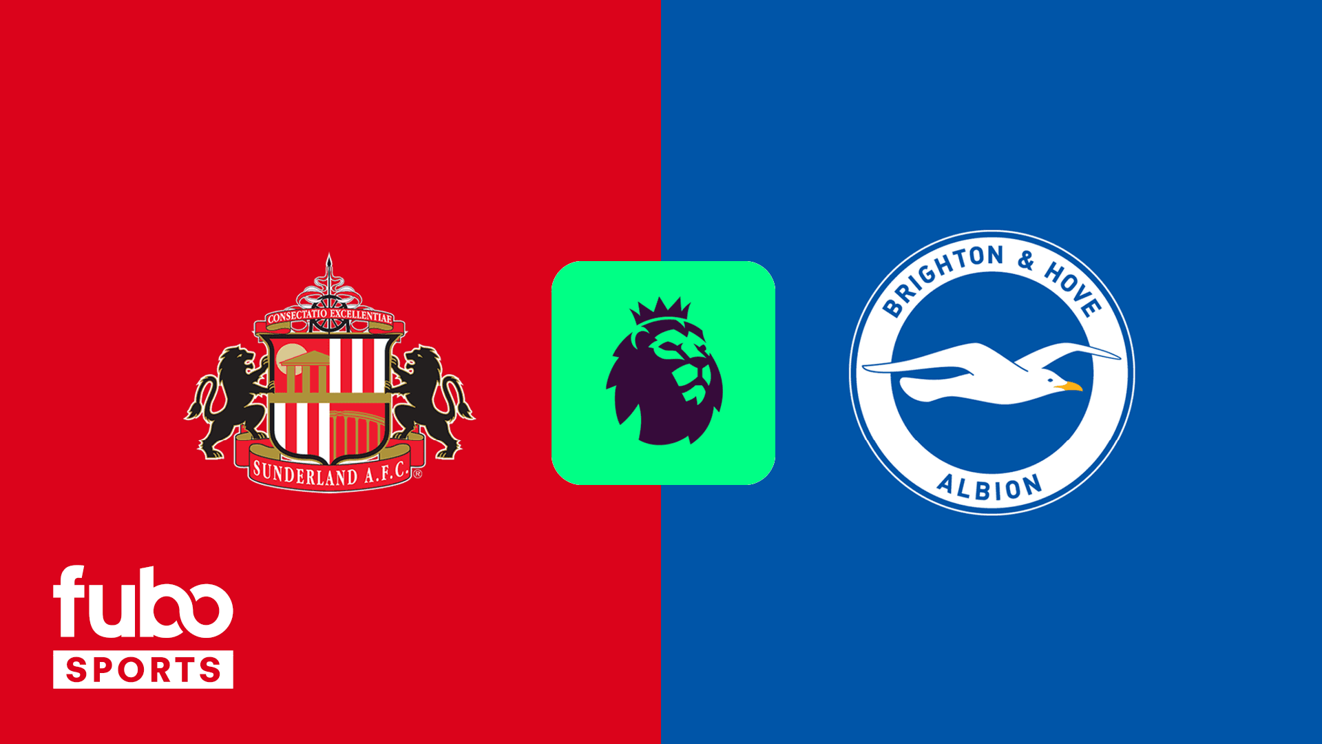 Sunderland vs Brighton & Hove Albion