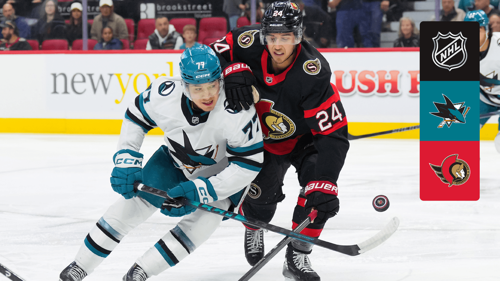 Watch Sharks @ Senators Live Stream Online | DAZN BI