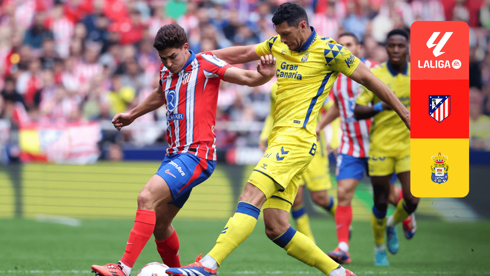Watch Atl. Madrid x Las Palmas Live Stream | DAZN PT
