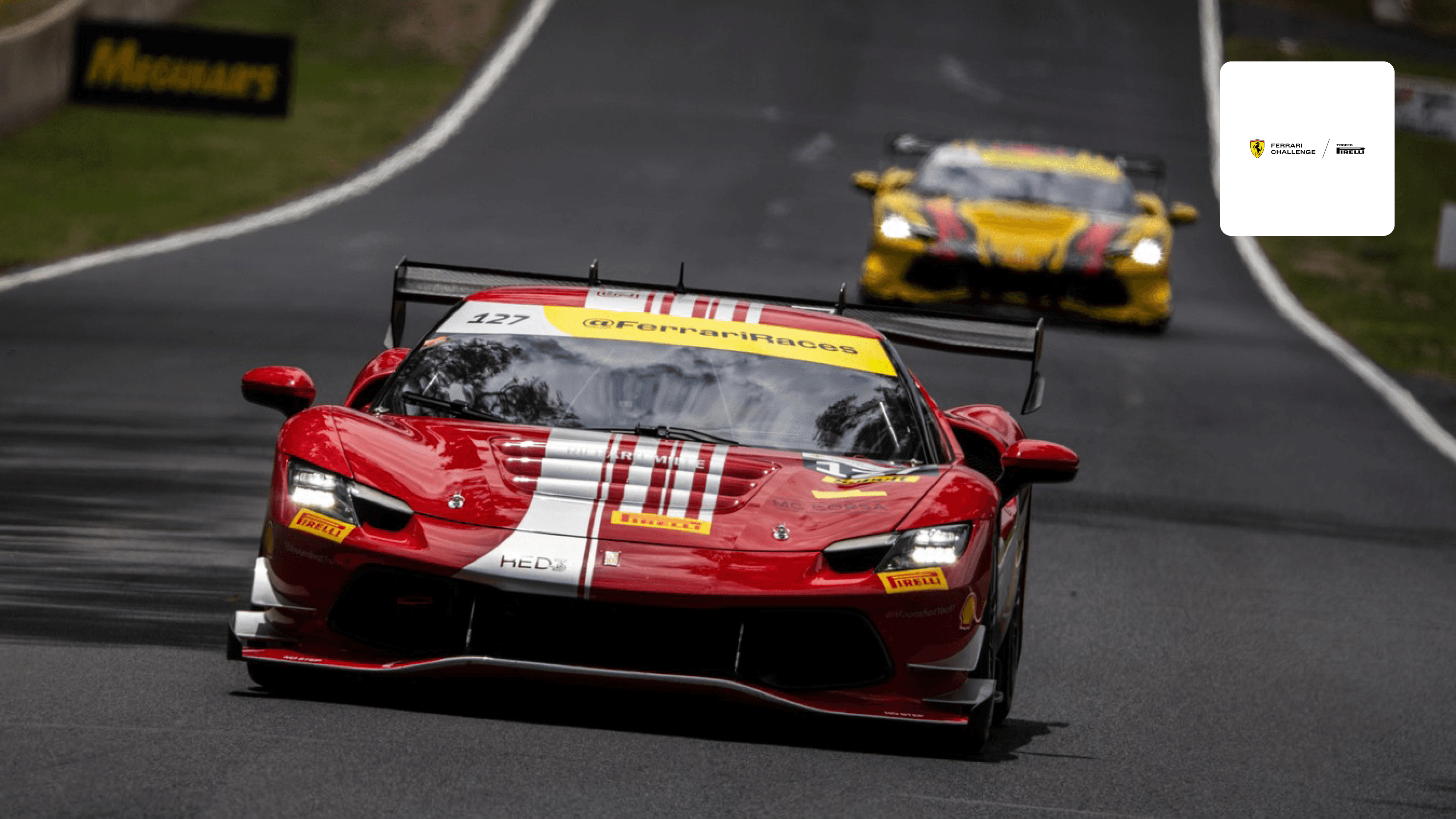 Watch Sydney - Race 2 Live Stream Online | DAZN TV