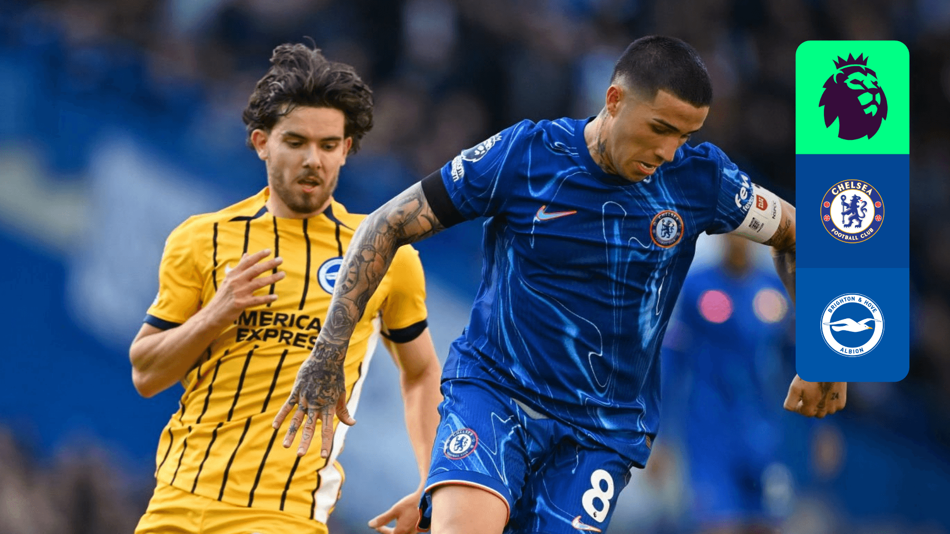 Watch Chelsea Brighton Live Stream DAZN ES