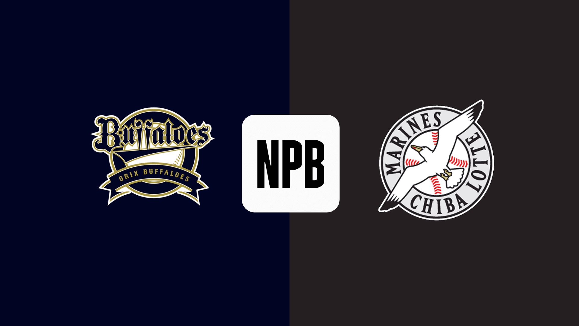 8/25 オリックス vs 千葉ロッテ 連番 駐車券付 飲食付 【公式通販】