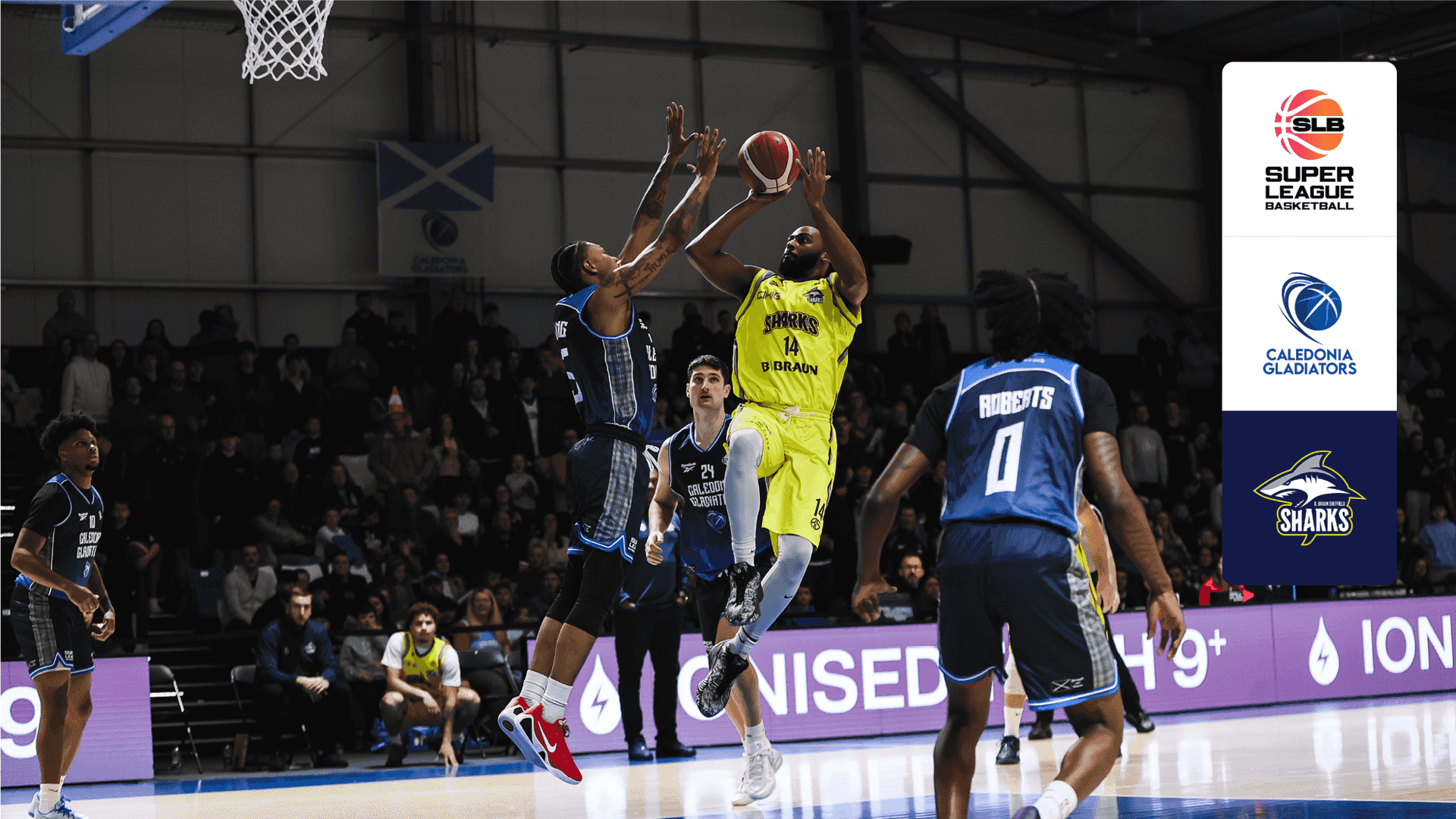 Watch Caledonia Gladiators vs. Sheffield Sharks Live Stream Online ...