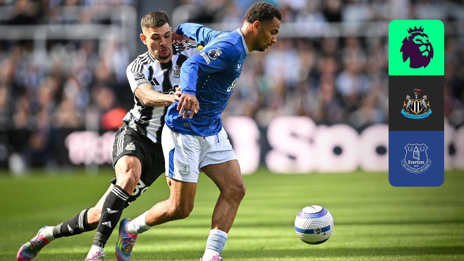 Ver: Newcastle x Everton em Direto | DAZN PT
