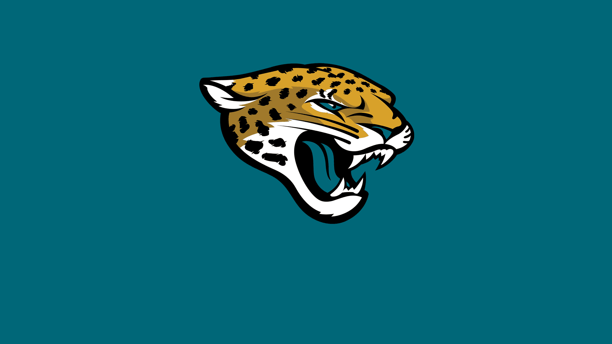 Jacksonville nfl shop