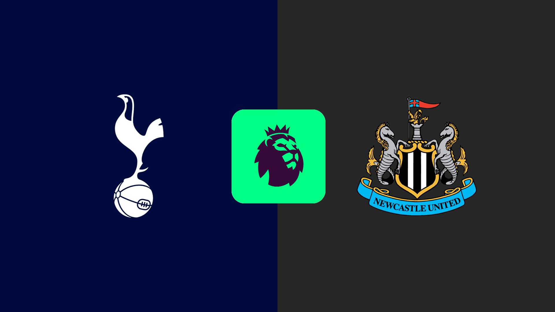 Tottenham Hotspur vs Newcastle United