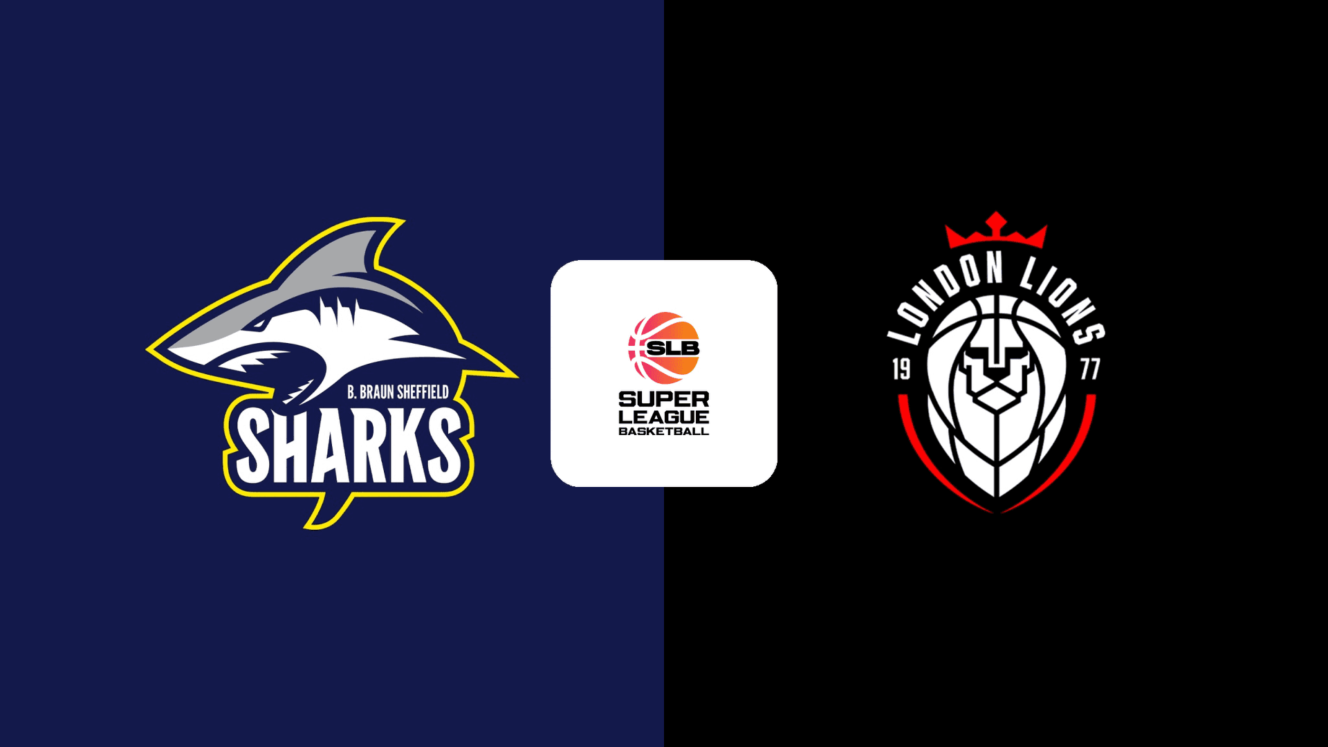Watch Sheffield Sharks vs. London Lions Live Stream Online | DAZN ZM