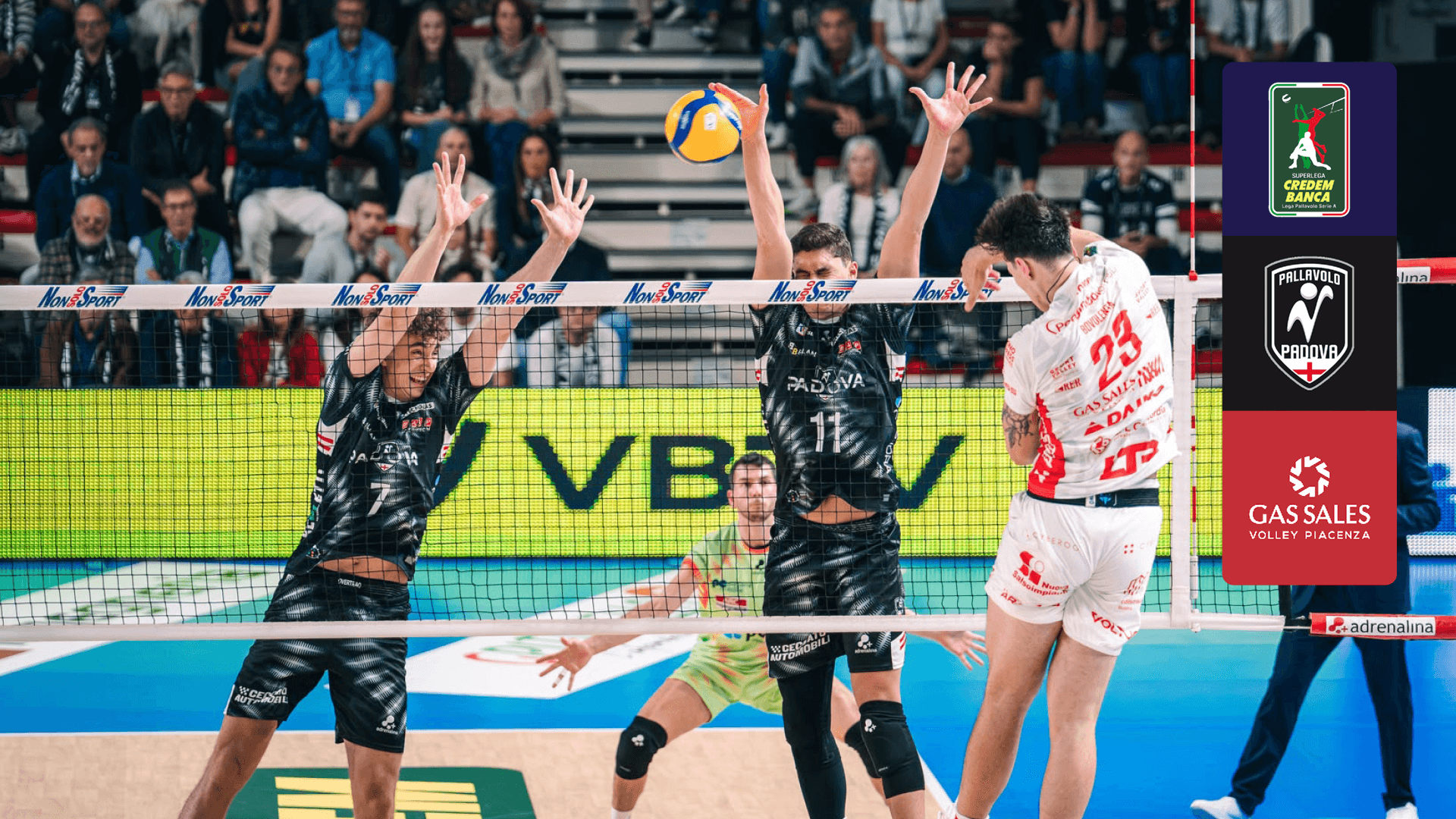 Watch Padova - Piacenza Live Stream Online | DAZN IT