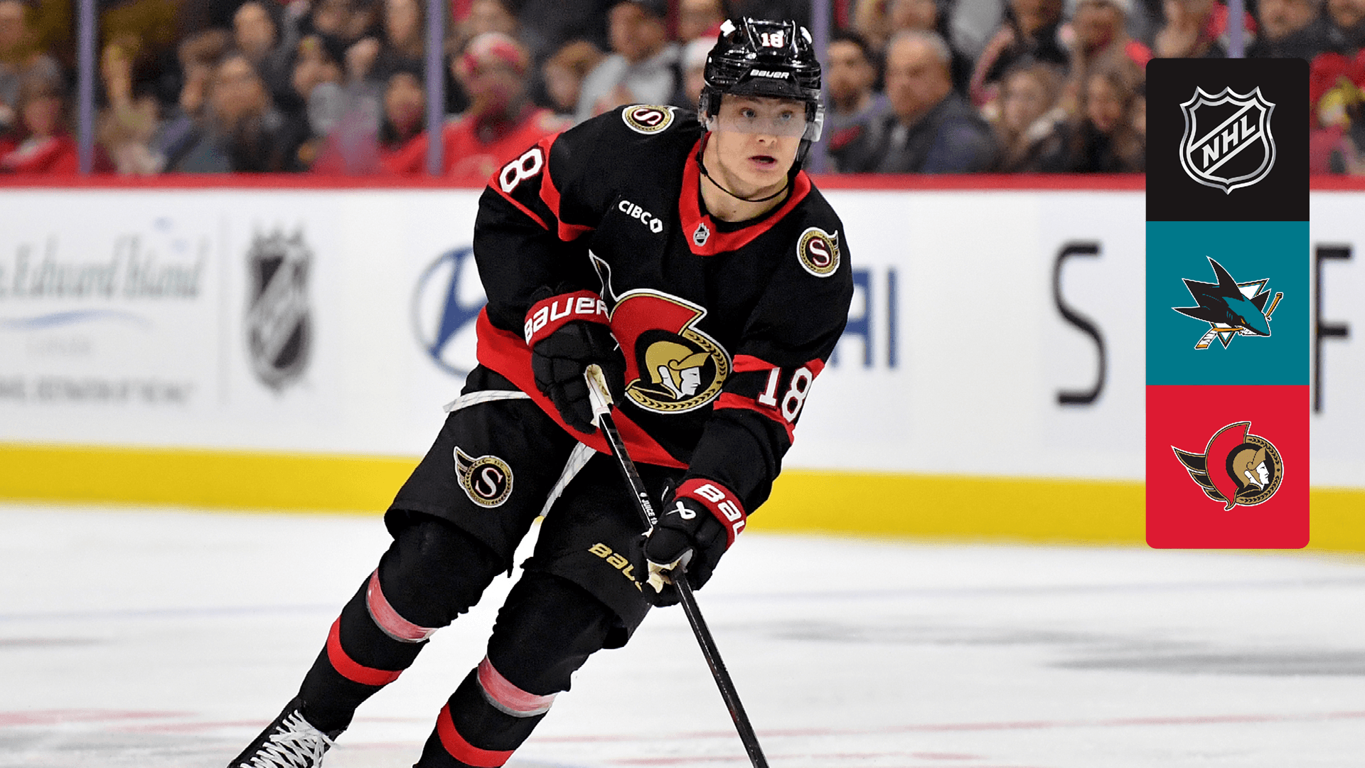 Watch Sharks @ Senators Live Stream Online | DAZN SG