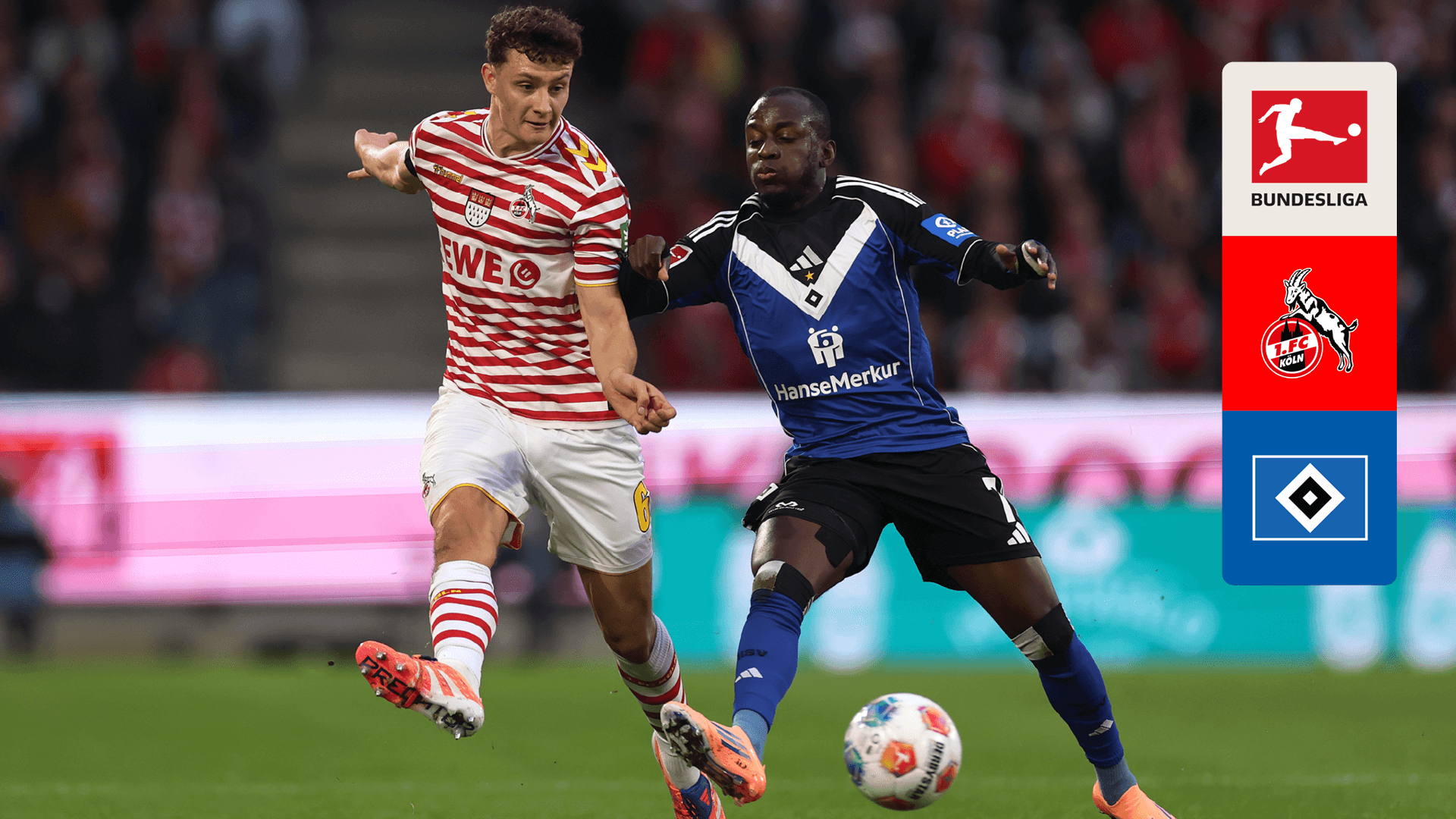 Watch Koln vs. Hamburg Live Stream Online | DAZN CA