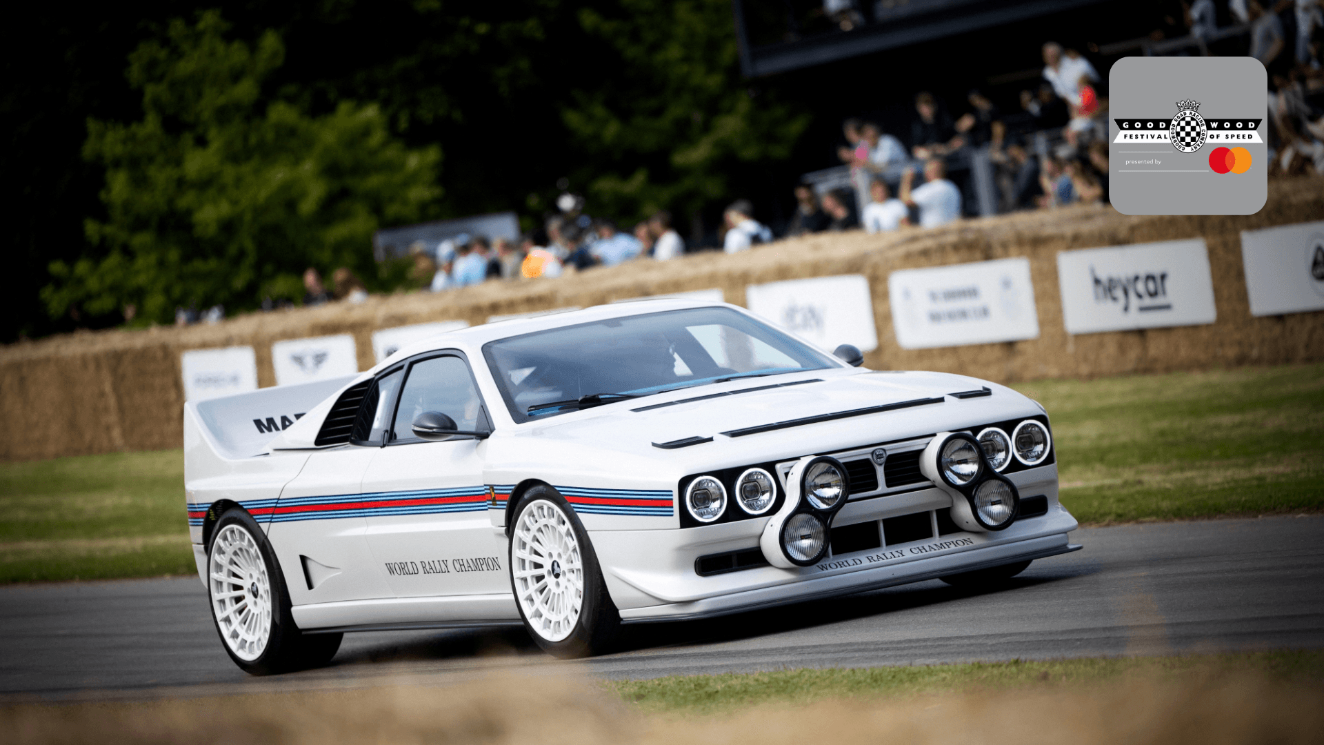 フォード GT Mk II グッドウッド・フェスティバル・オブ・スピード TSM 1/43 フォード GT Mk II グッドウッド・フェスティバル