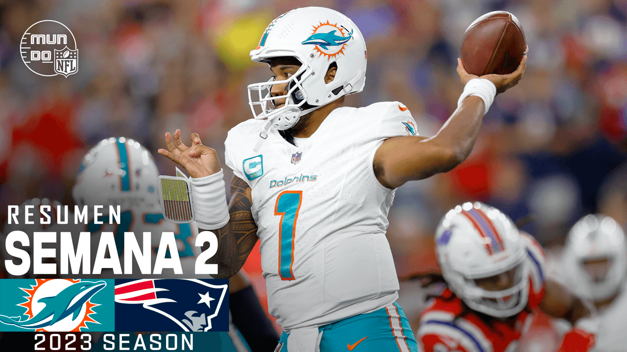 Watch patriots dolphins on sale