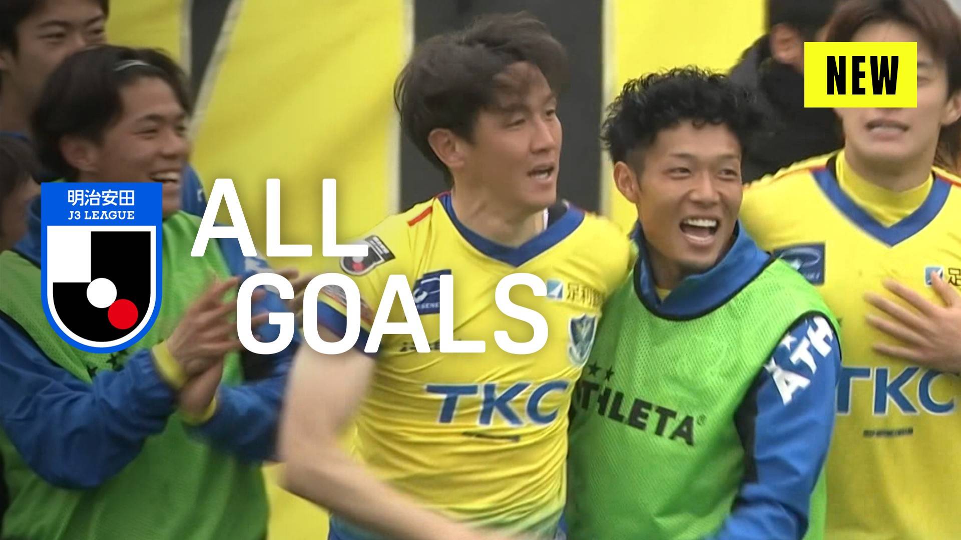 栃木SCユニフォーム 矢野貴章 L